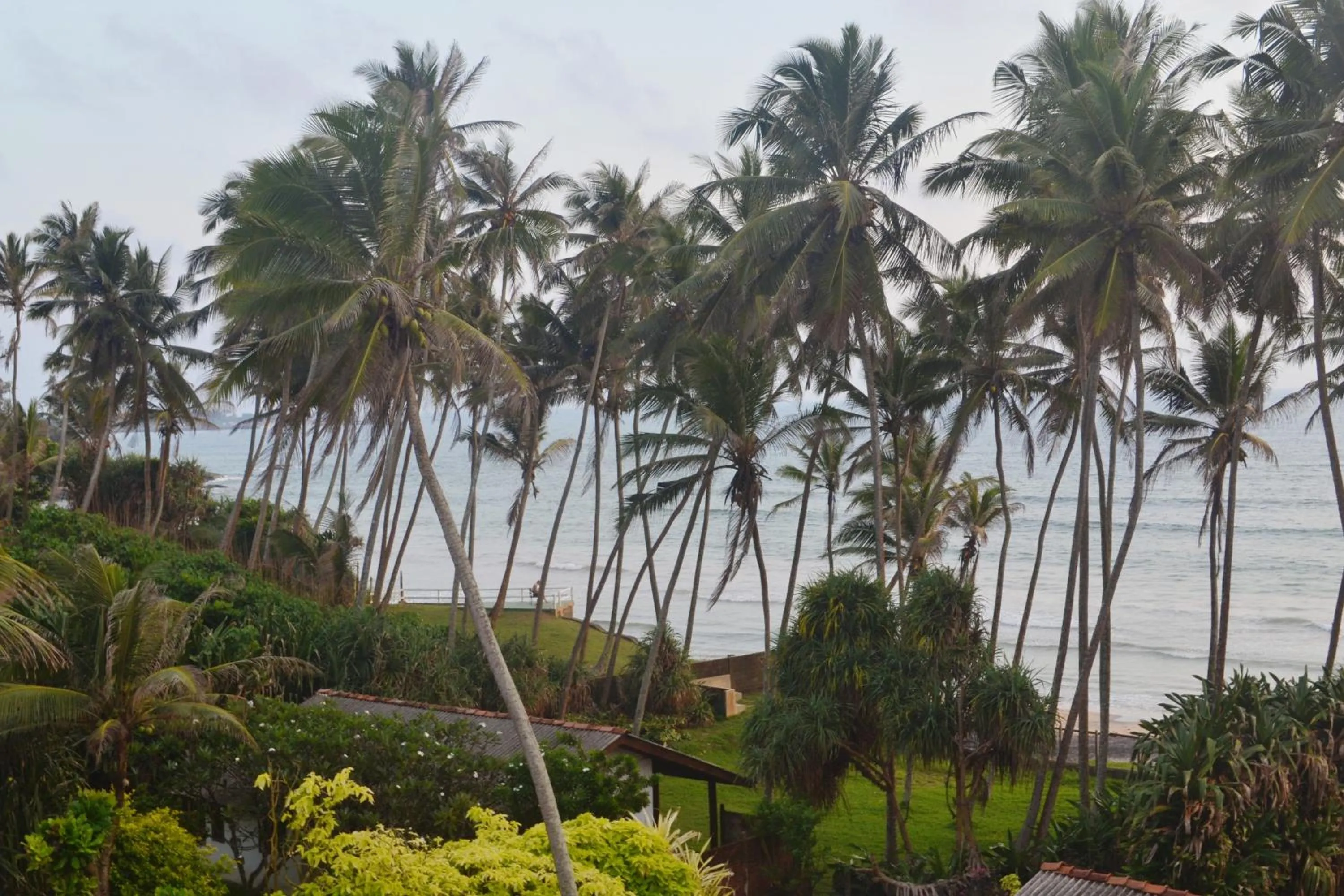 Property building in Surf Lanka Hotel