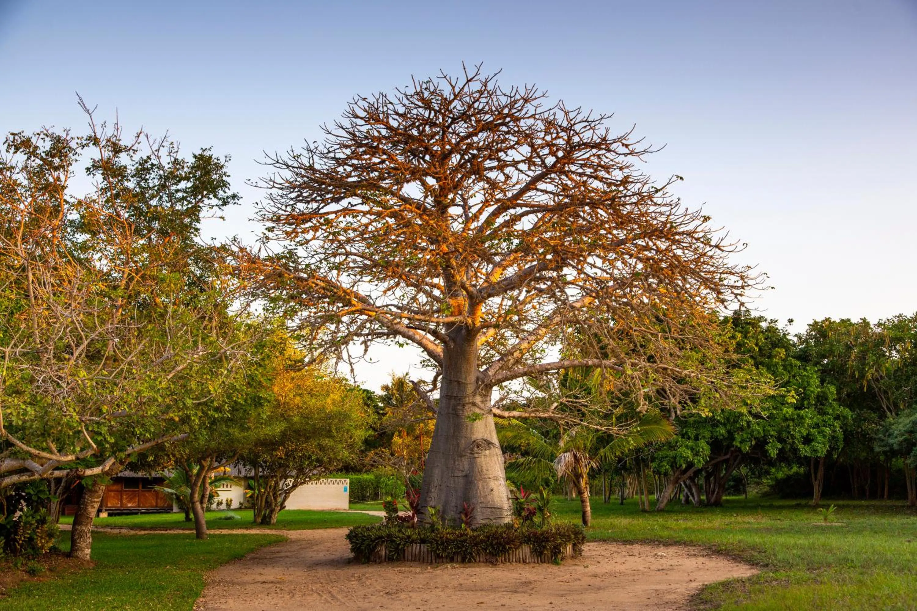 Natural landscape in Archipelago Resort