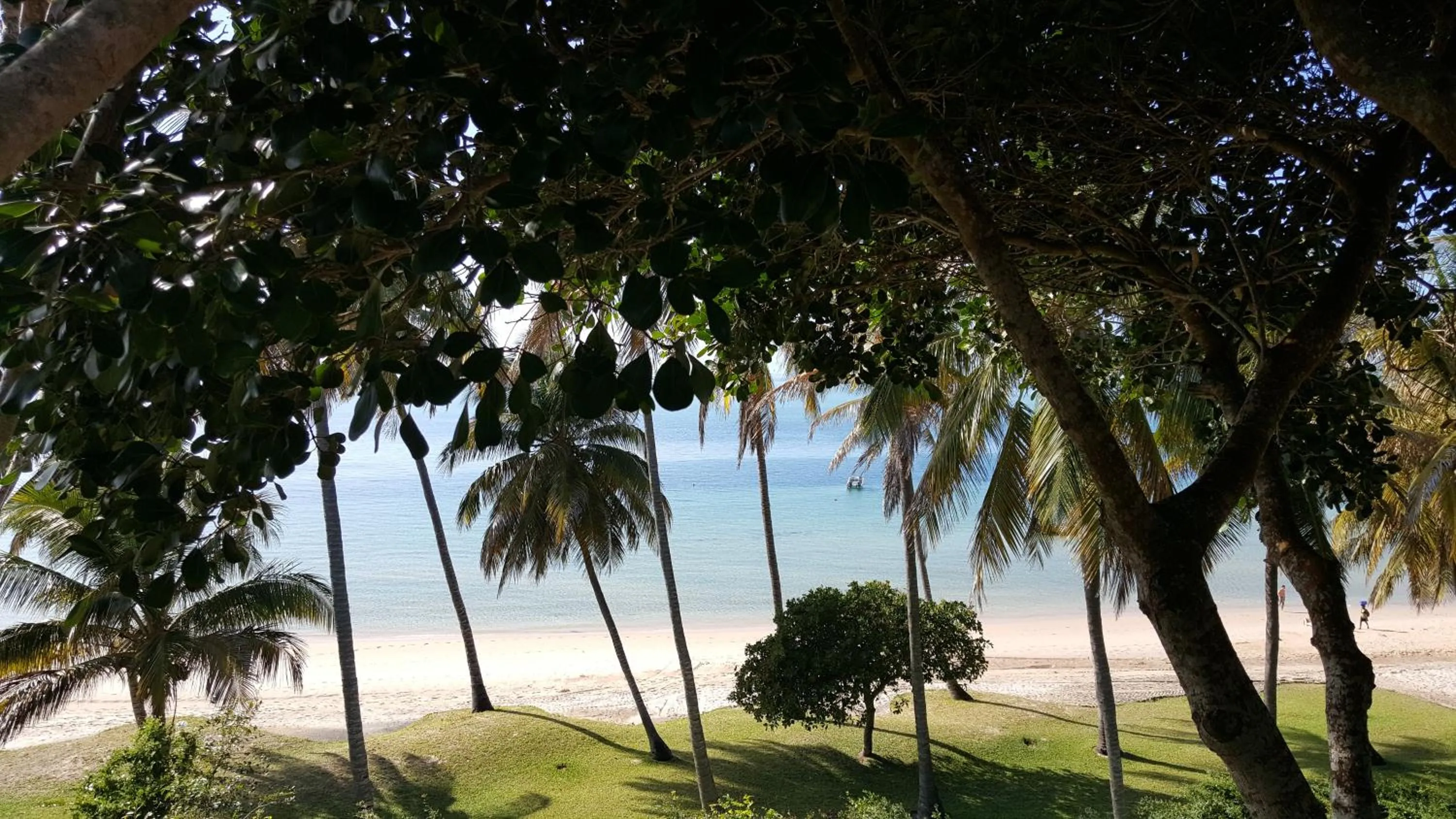 Natural landscape in Archipelago Resort