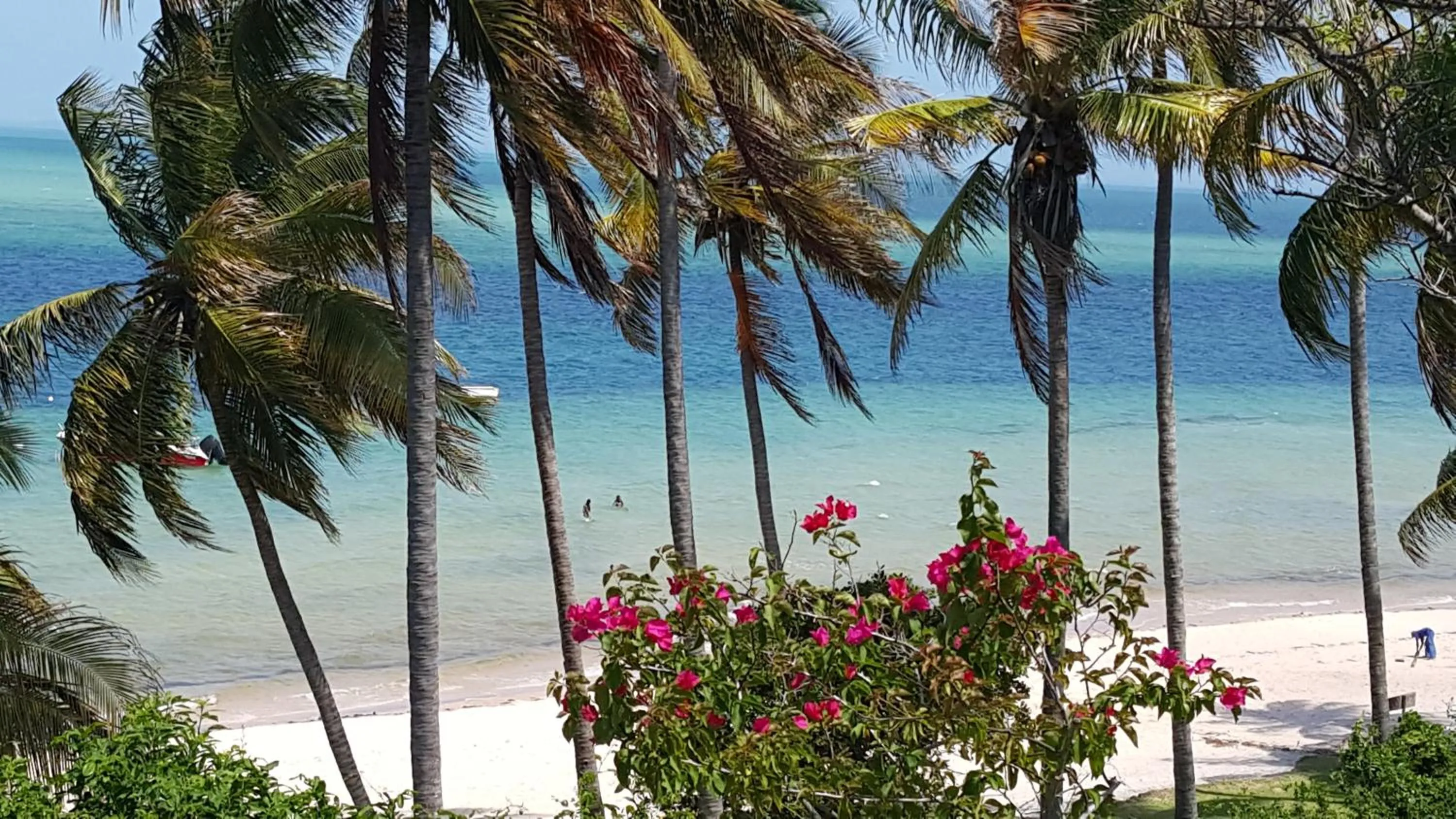 Natural landscape in Archipelago Resort