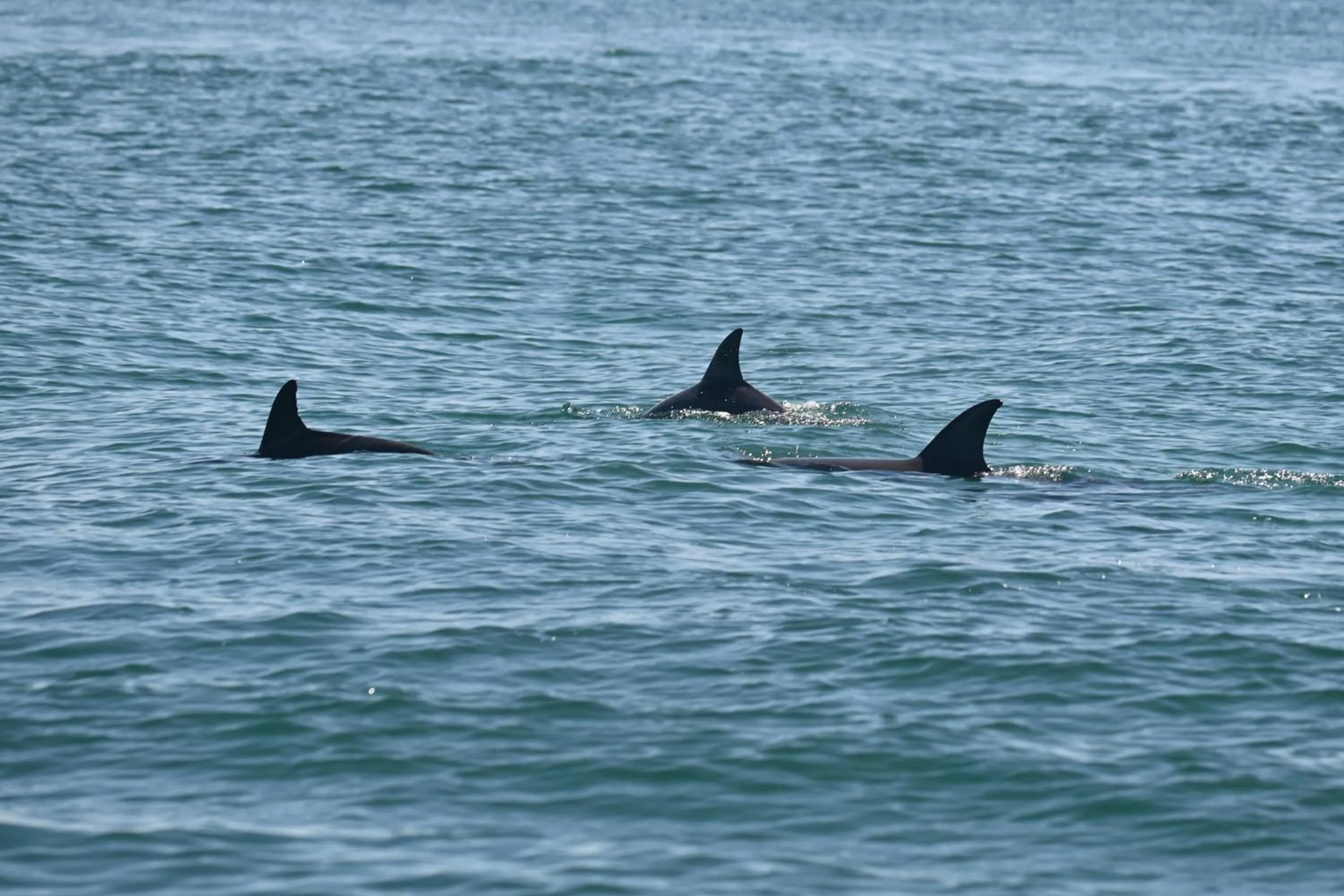 Activities in Archipelago Resort