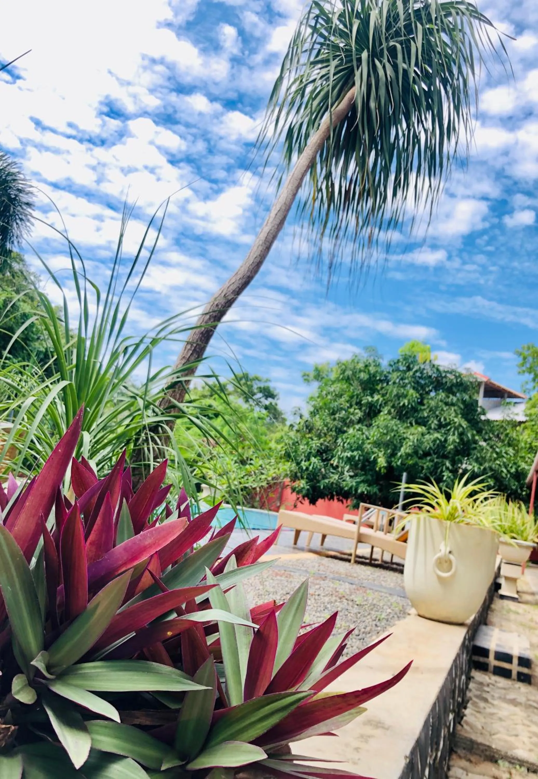 Day in Saman Resort Yala