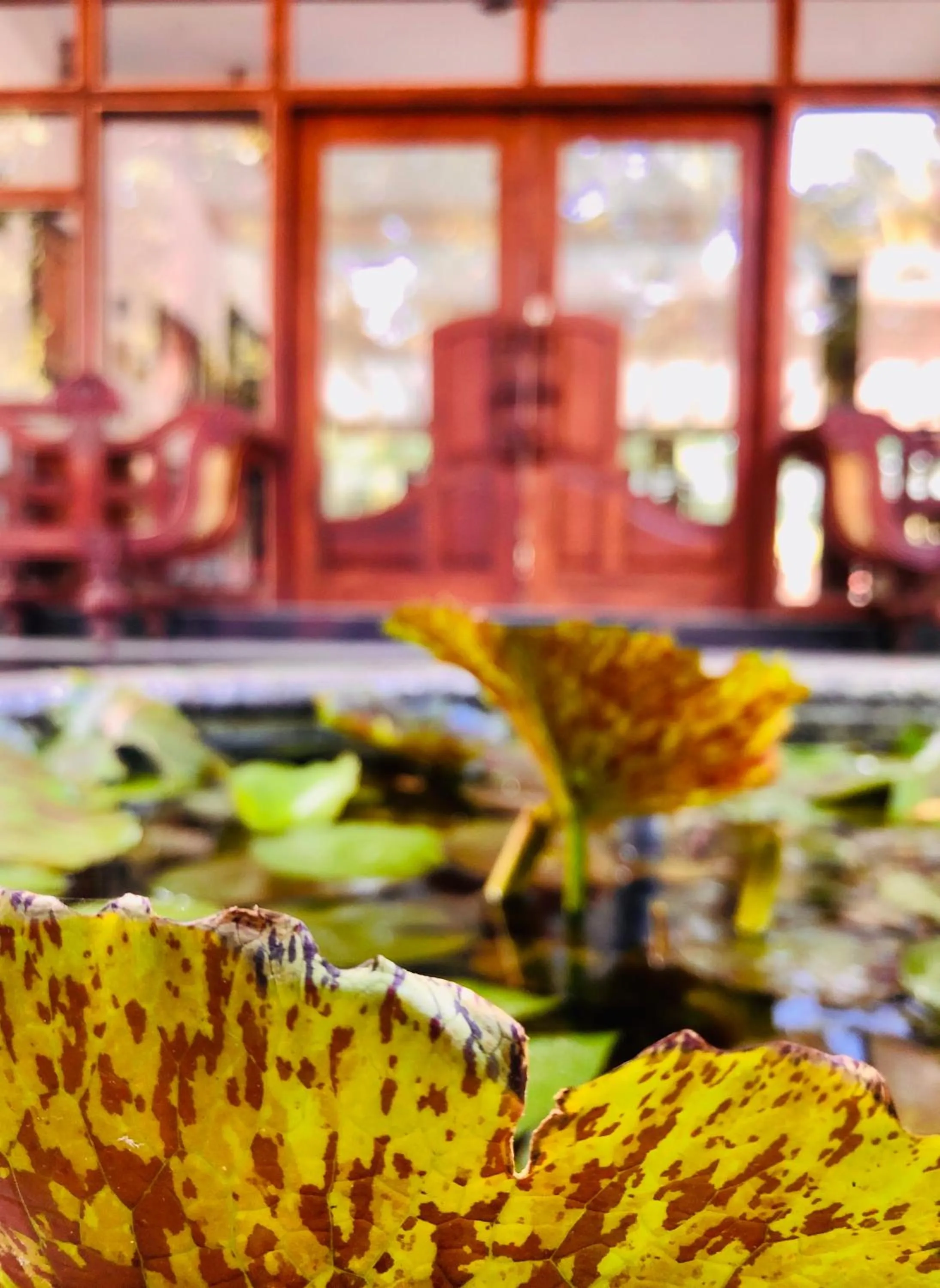 Seating area in Saman Resort Yala