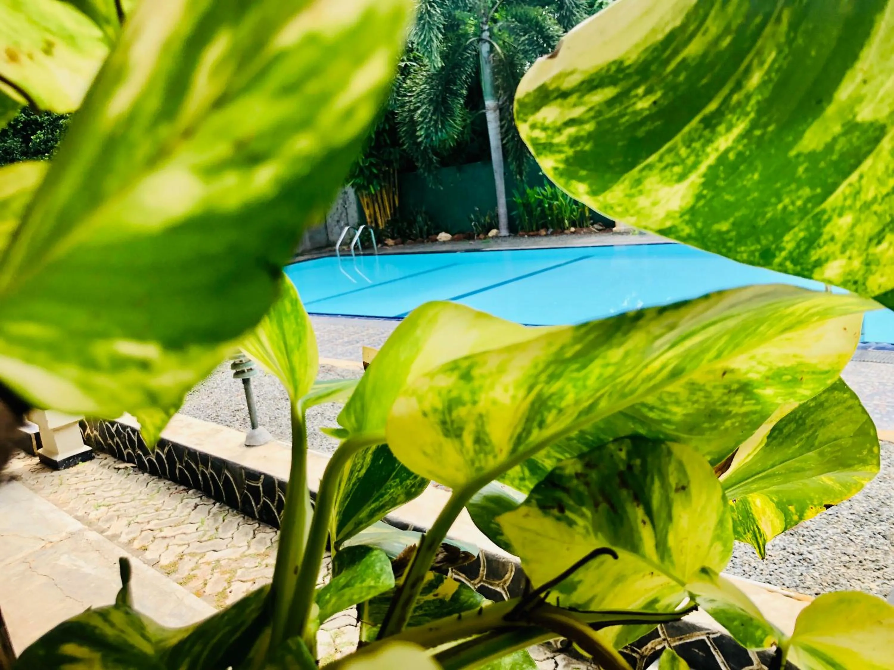 Day in Saman Resort Yala