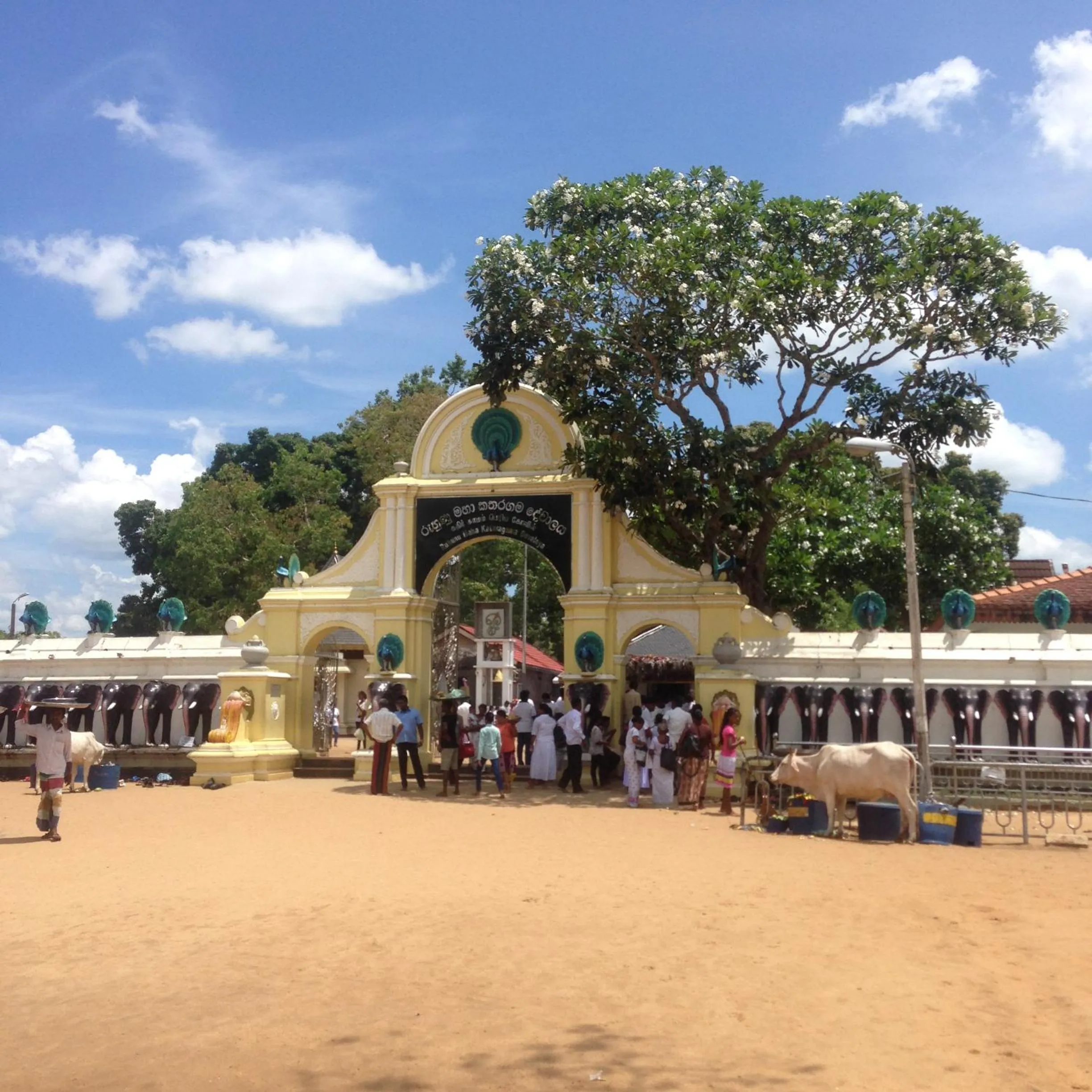 Other in Saman Resort Yala