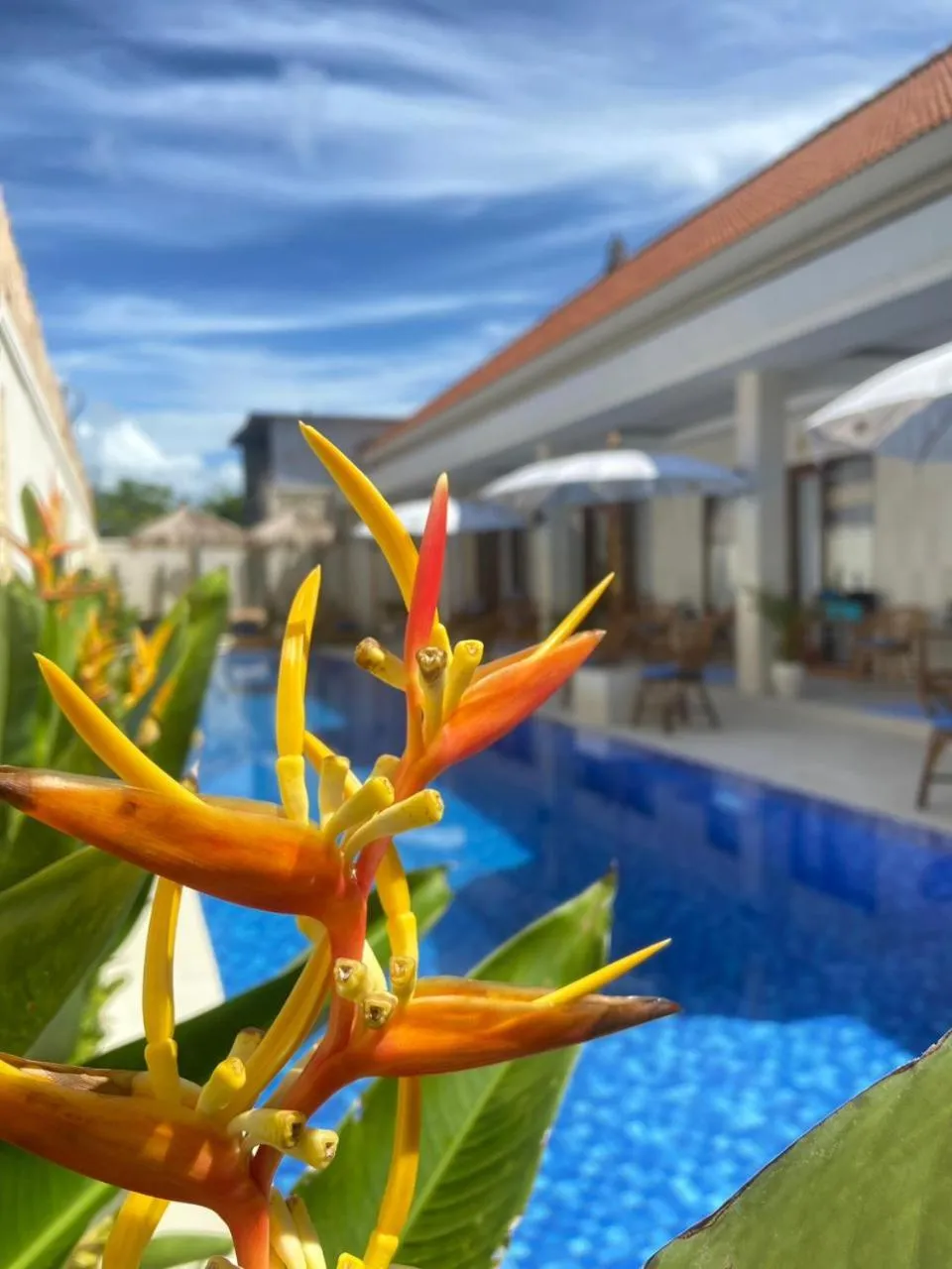 Swimming pool in Santai Suites Nusa Dua-Adults Only