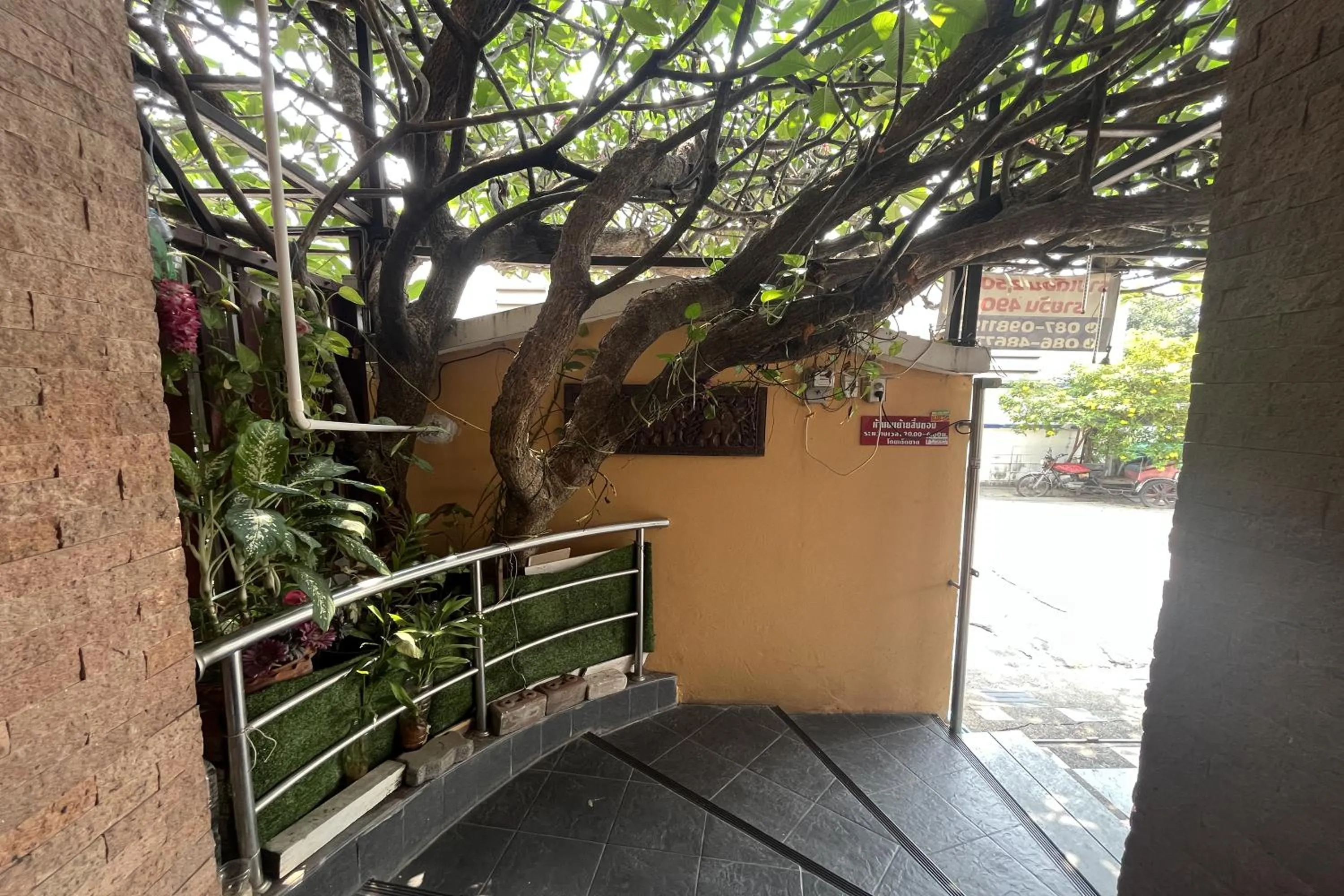 Day in Green Place 107