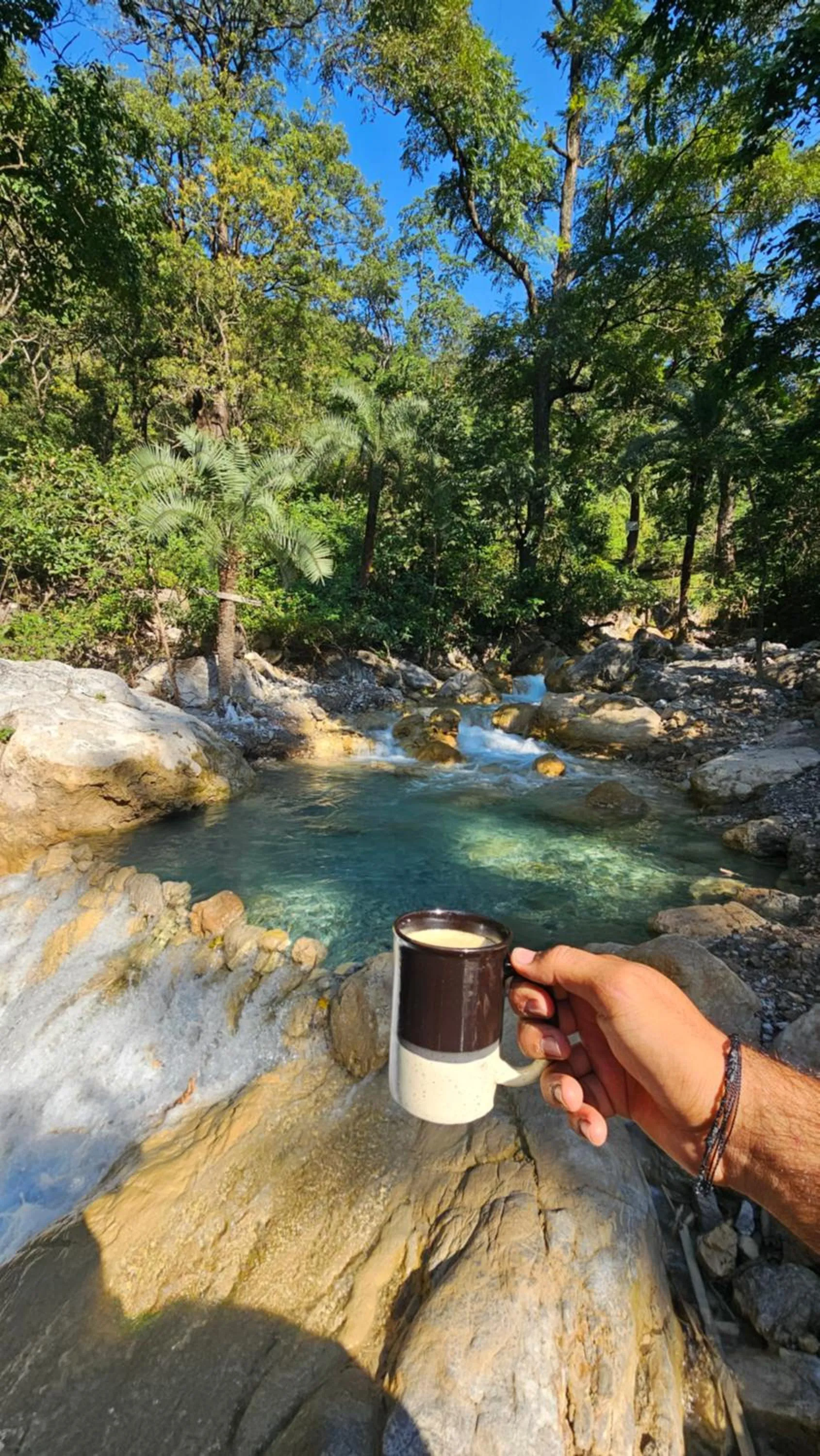 Tapovan Cascades Yogvillage Stay