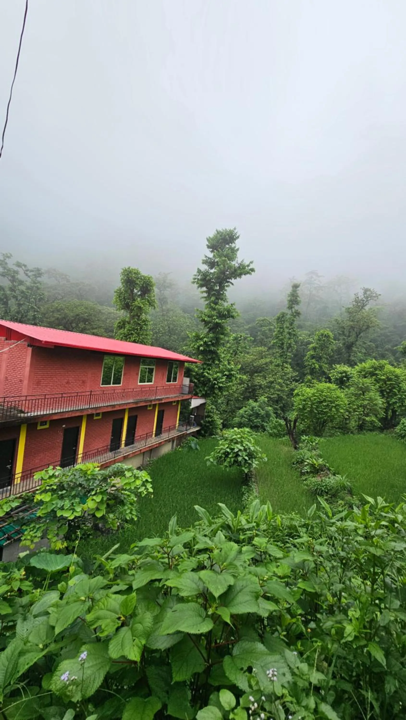 Tapovan Cascades Yogvillage Stay