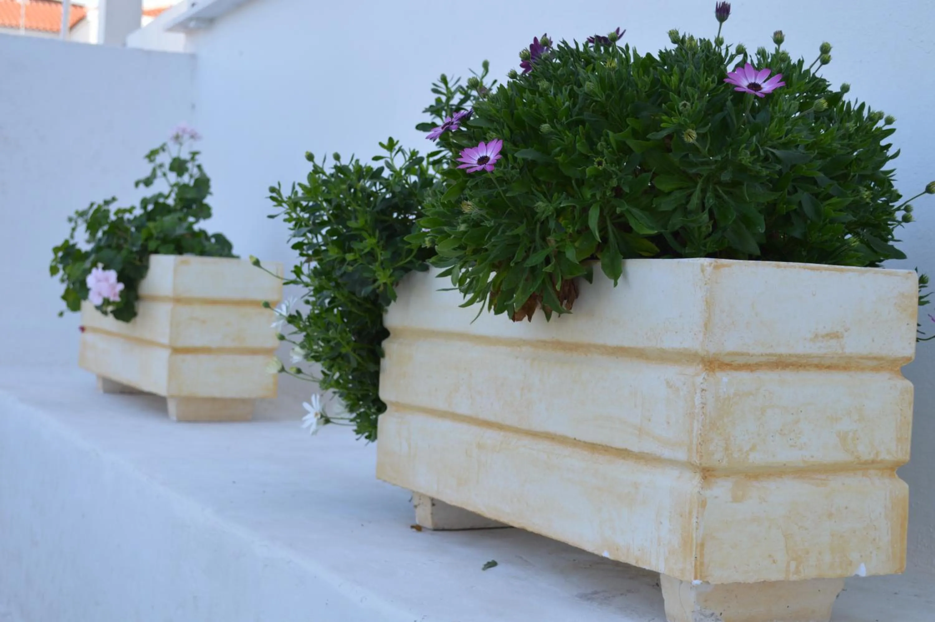 Day in Koukounari 2 Rooms