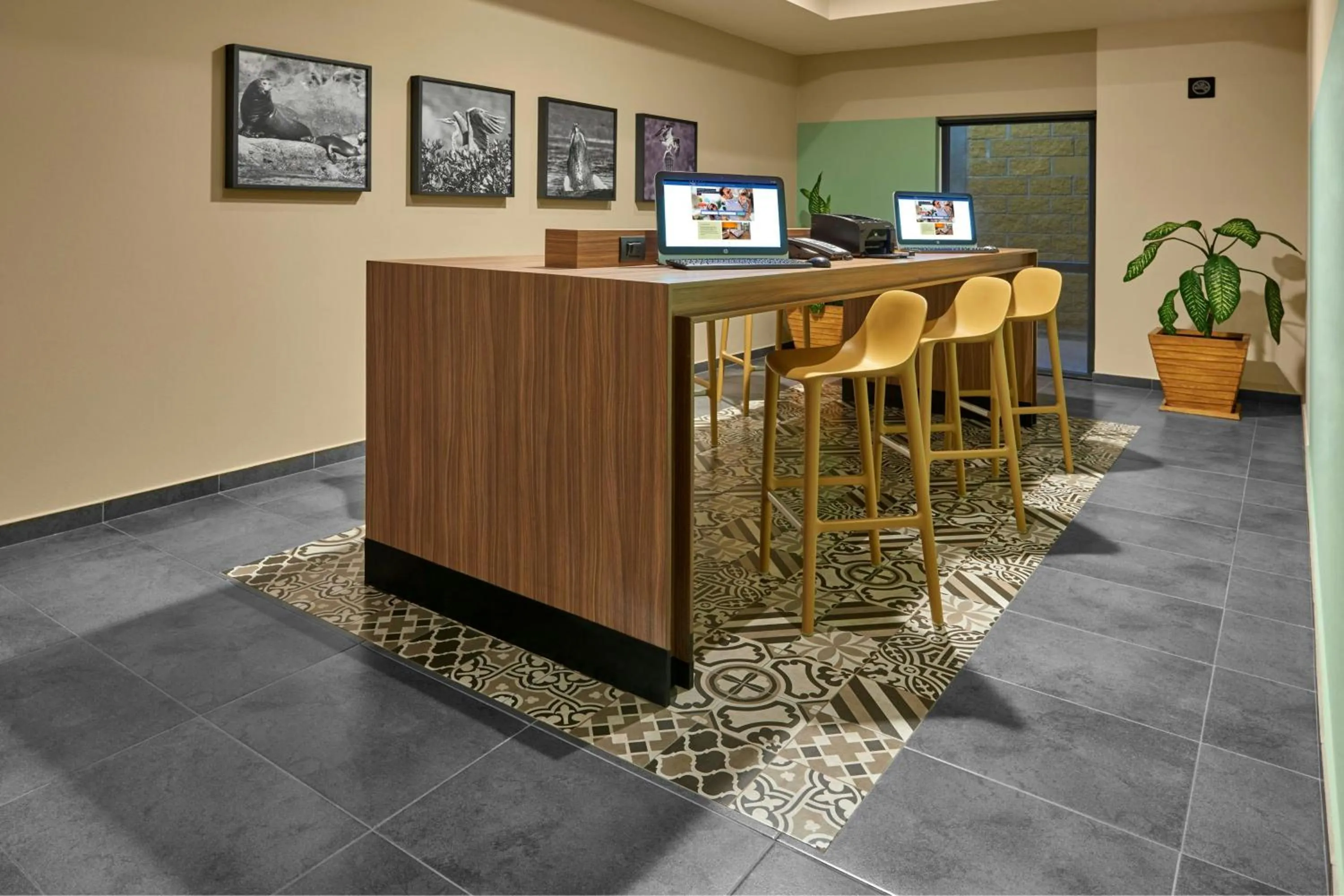 Meeting/conference room in City Express Plus by Marriott Cabo San Lucas