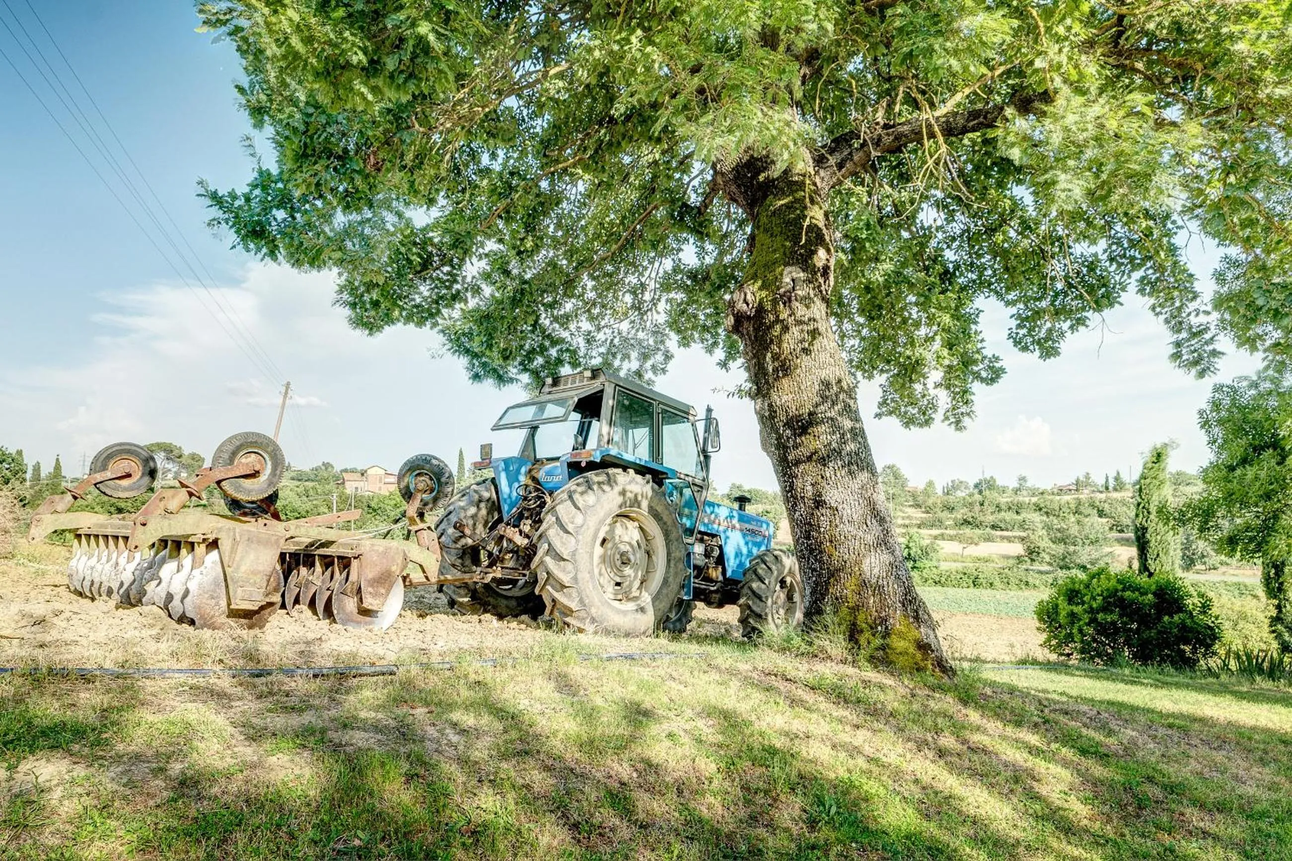Natural landscape in Agriturismo Il poggiarello