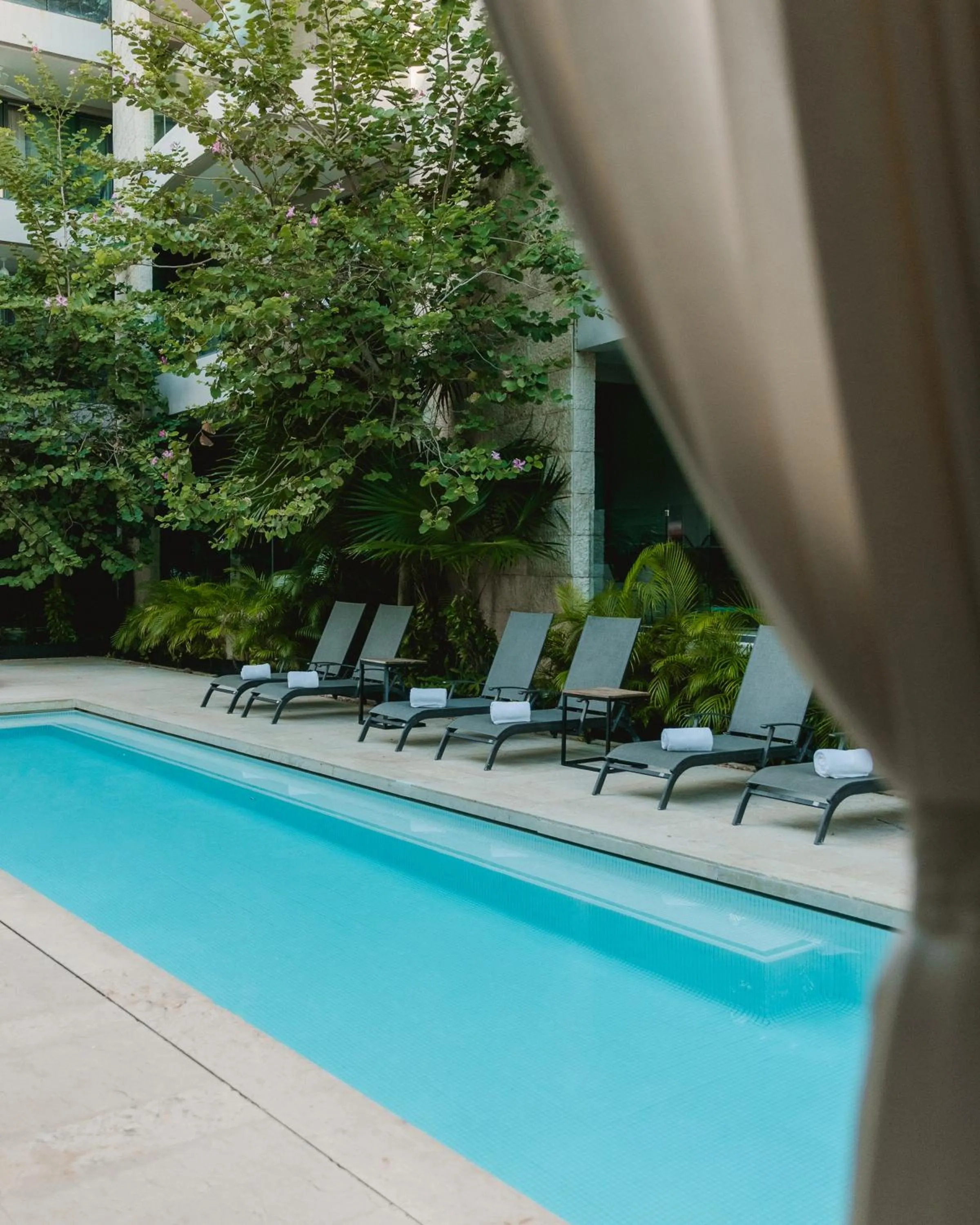 Swimming pool in Thompson Playa Del Carmen Main House, by Hyatt