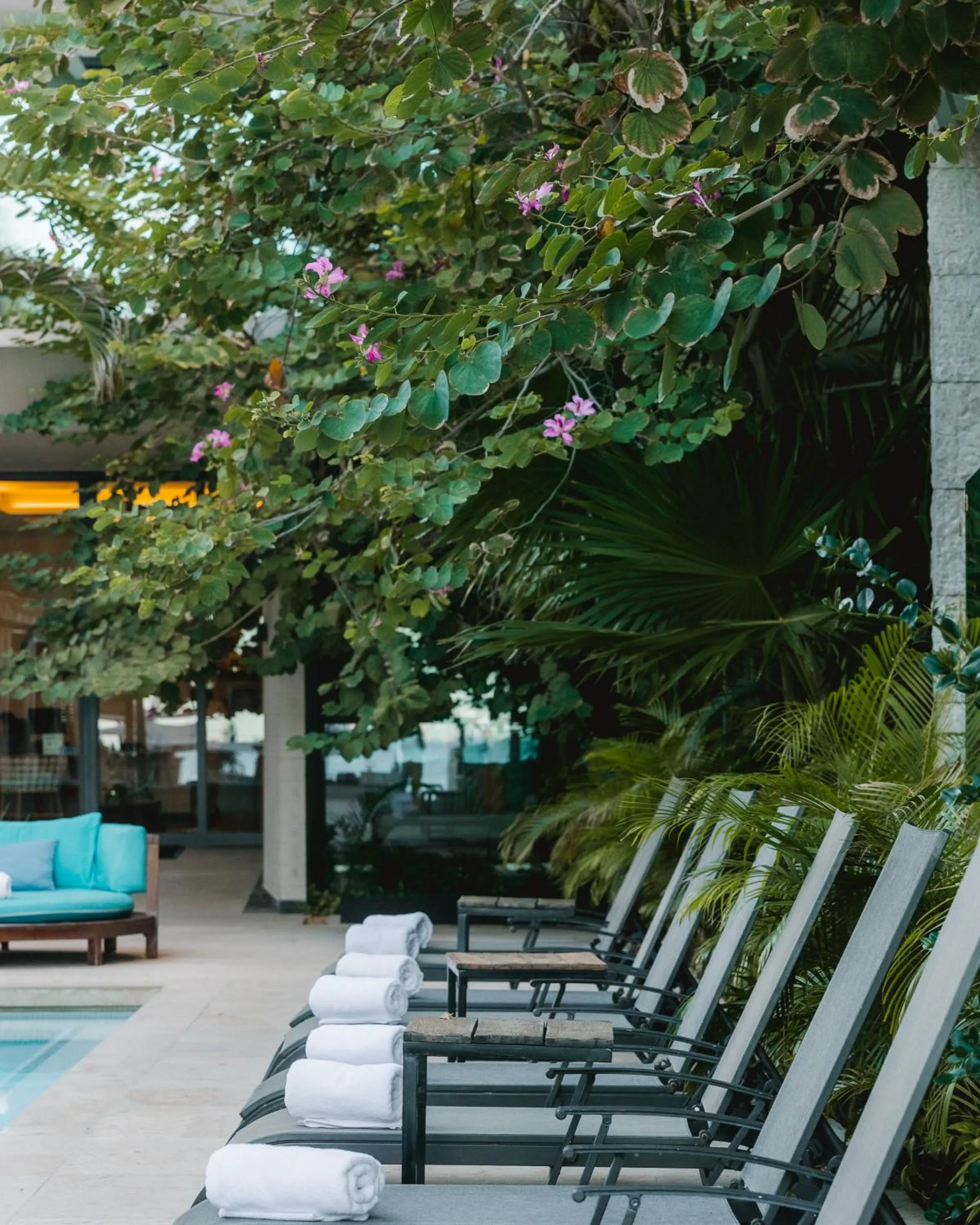 Swimming pool in Thompson Playa Del Carmen Main House, by Hyatt