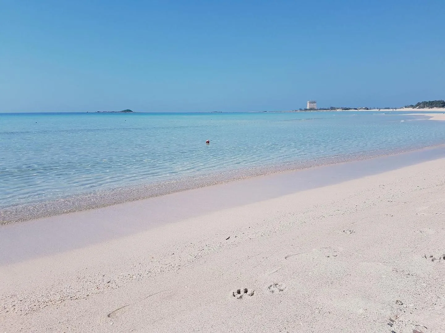 Beach in Hotel Posidonia