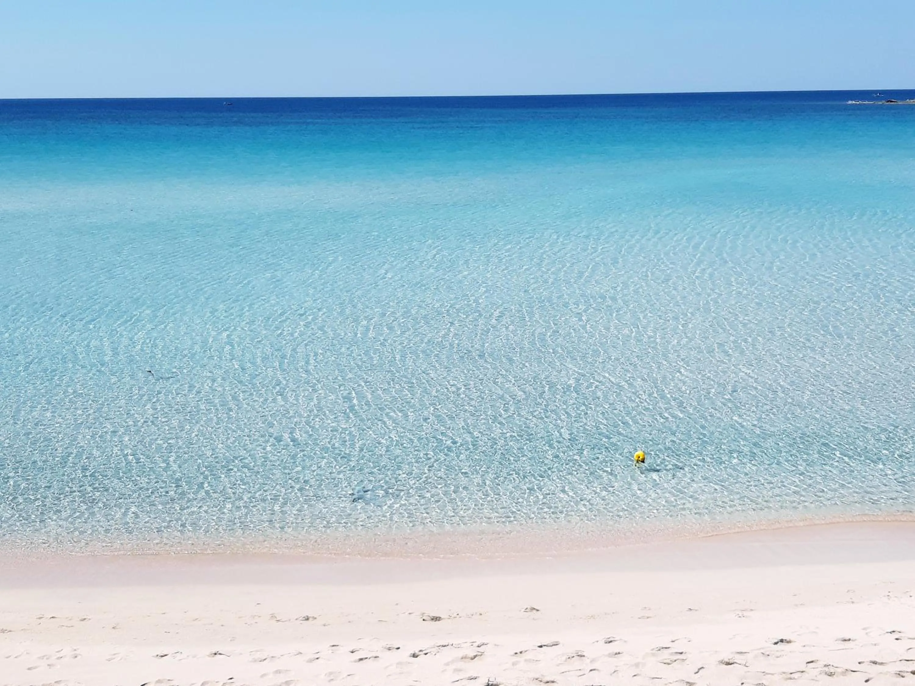 Beach in Hotel Posidonia