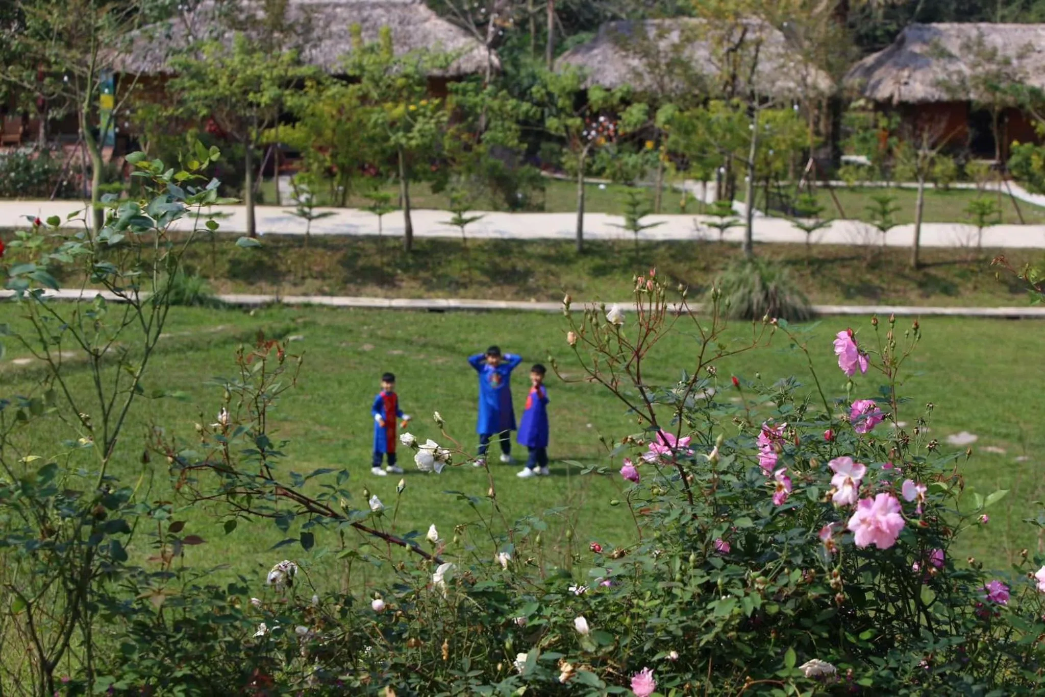 Garden in Mật Retreat