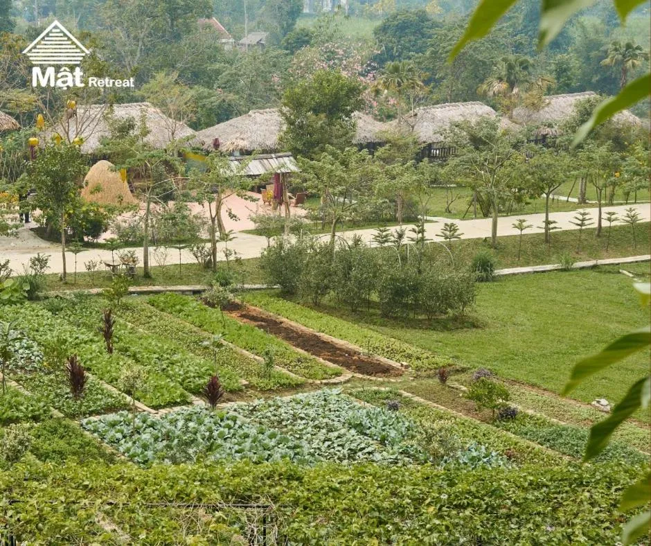 Mật Retreat
