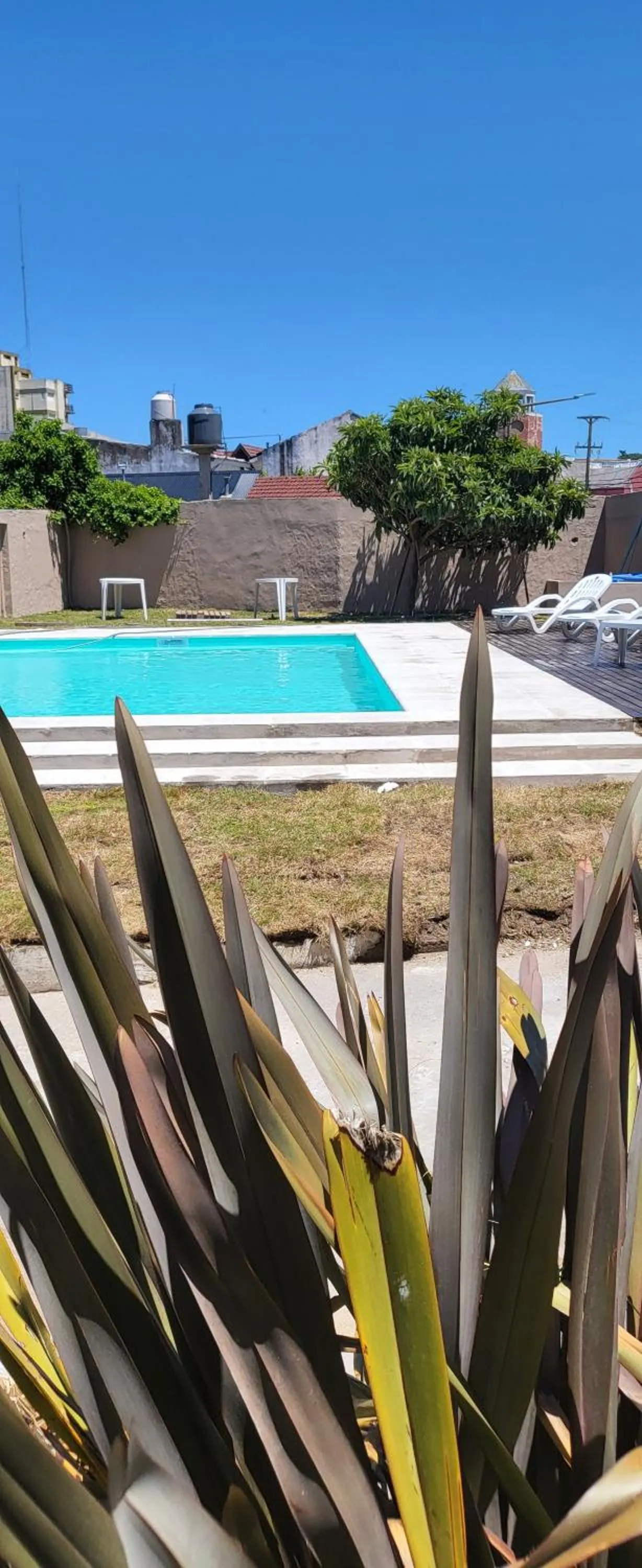 Garden in Hotel El Velero