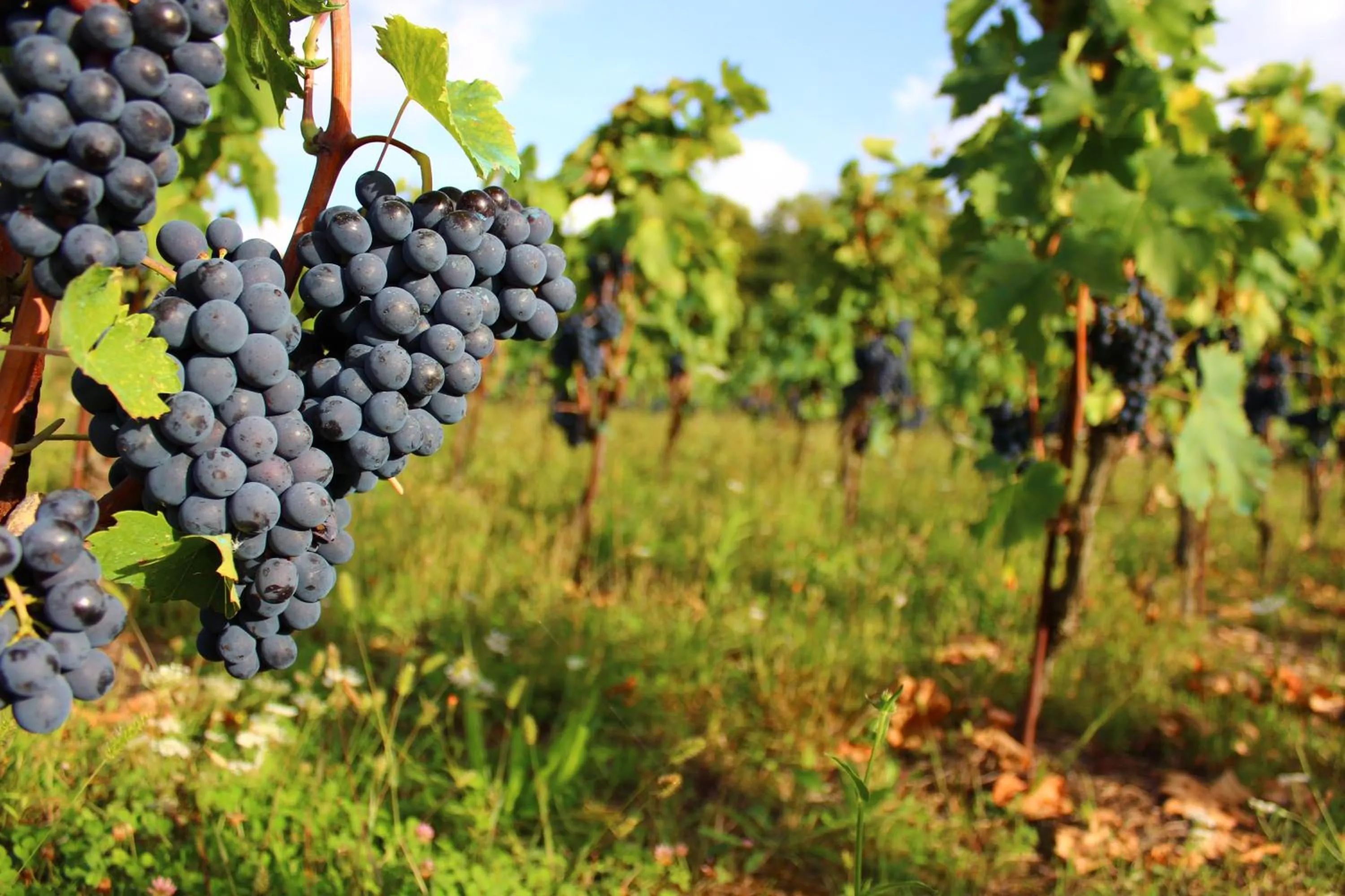 Property building in Casa Portagioia