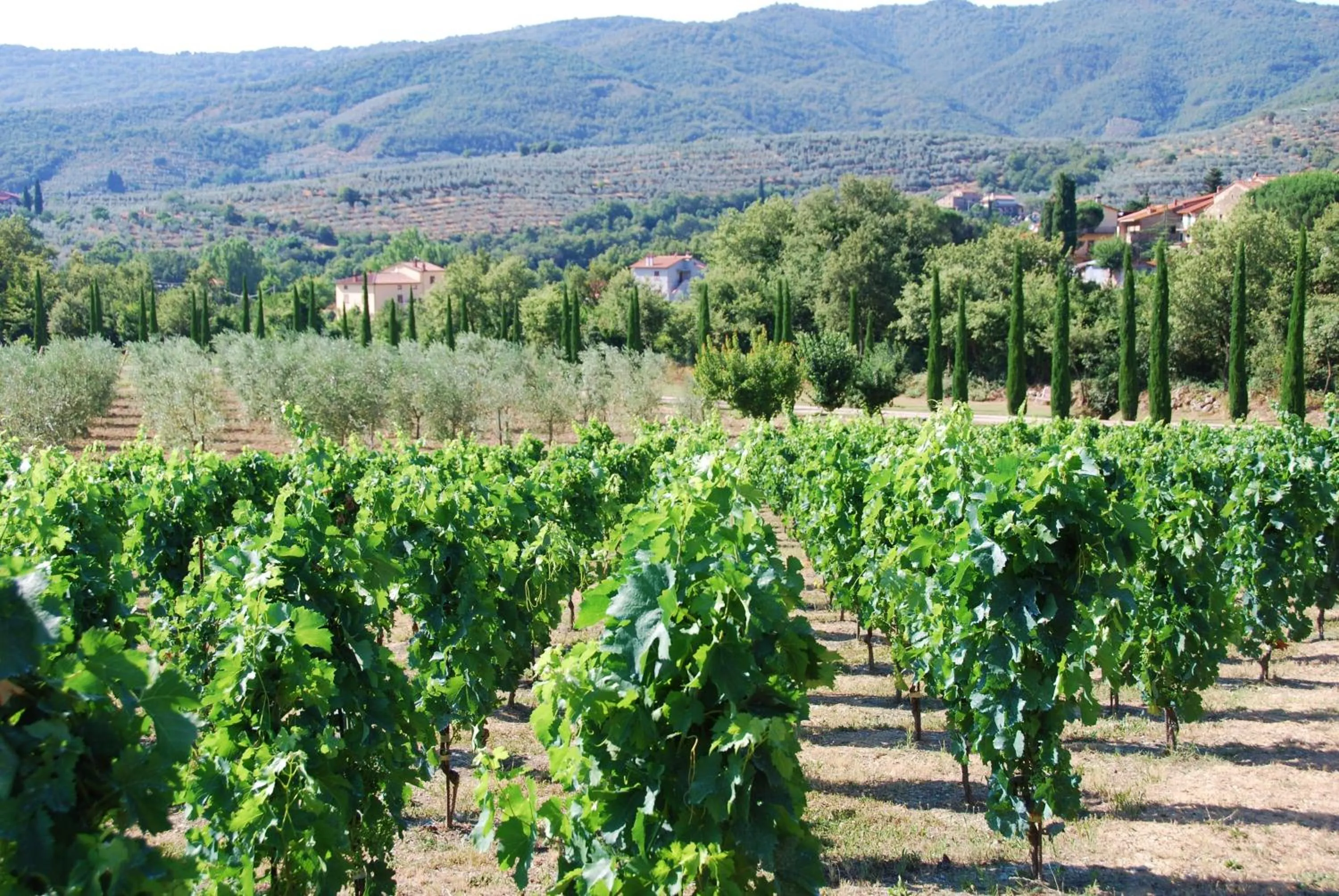 View (from property/room) in Casa Portagioia