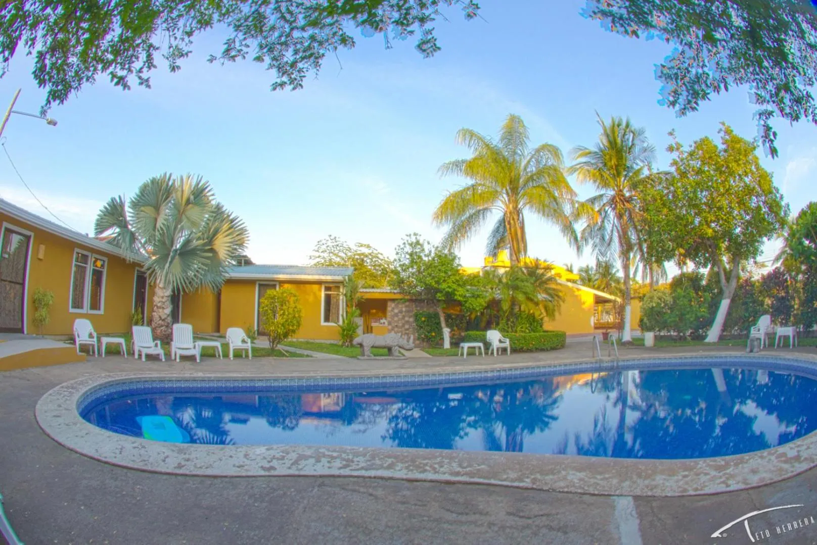 Garden in Hotel La Punta
