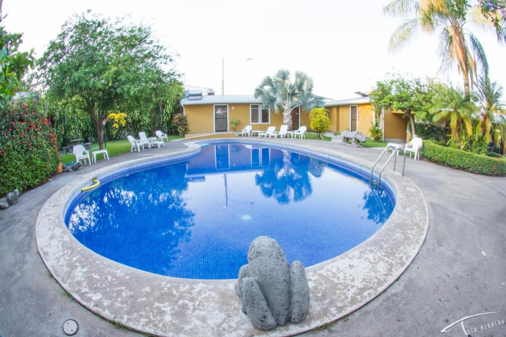 Garden in Hotel La Punta