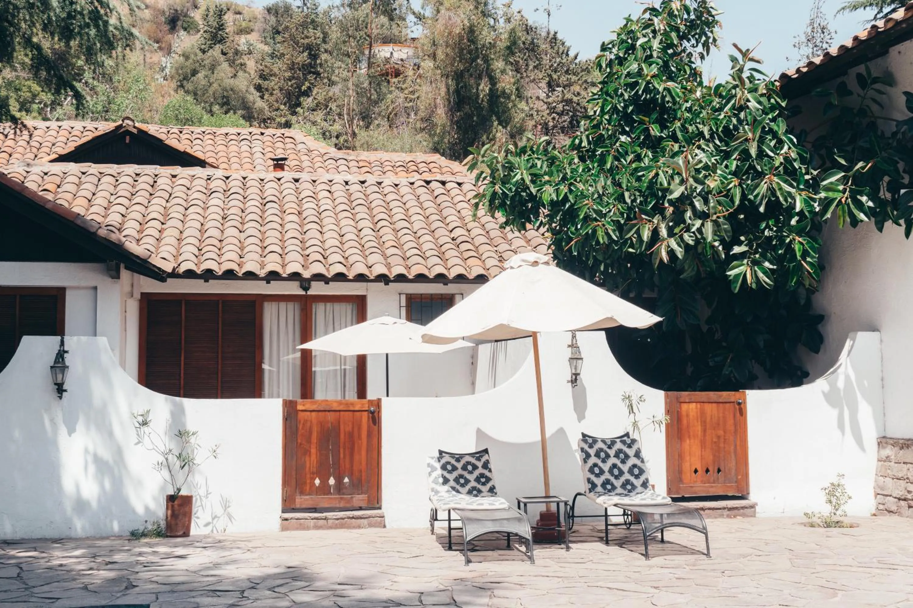Garden in Casa Arrayán