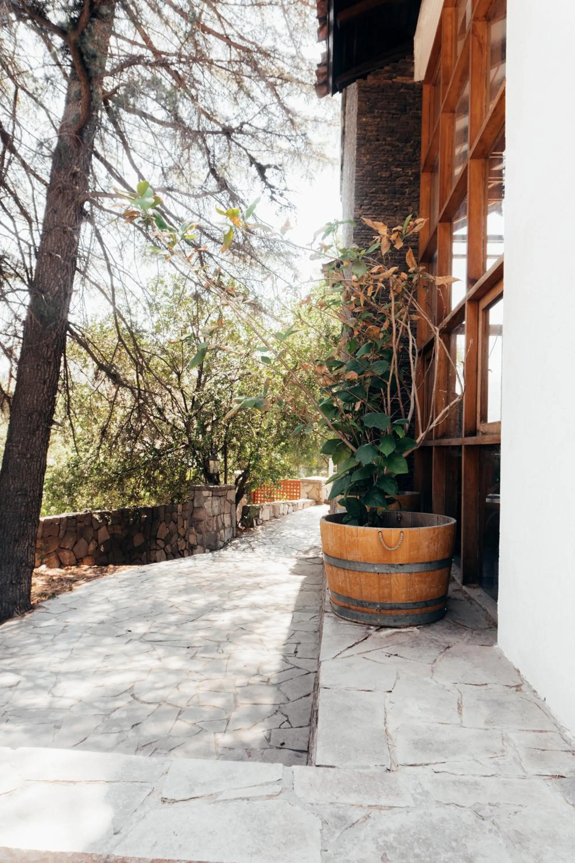 Garden view in Casa Arrayán