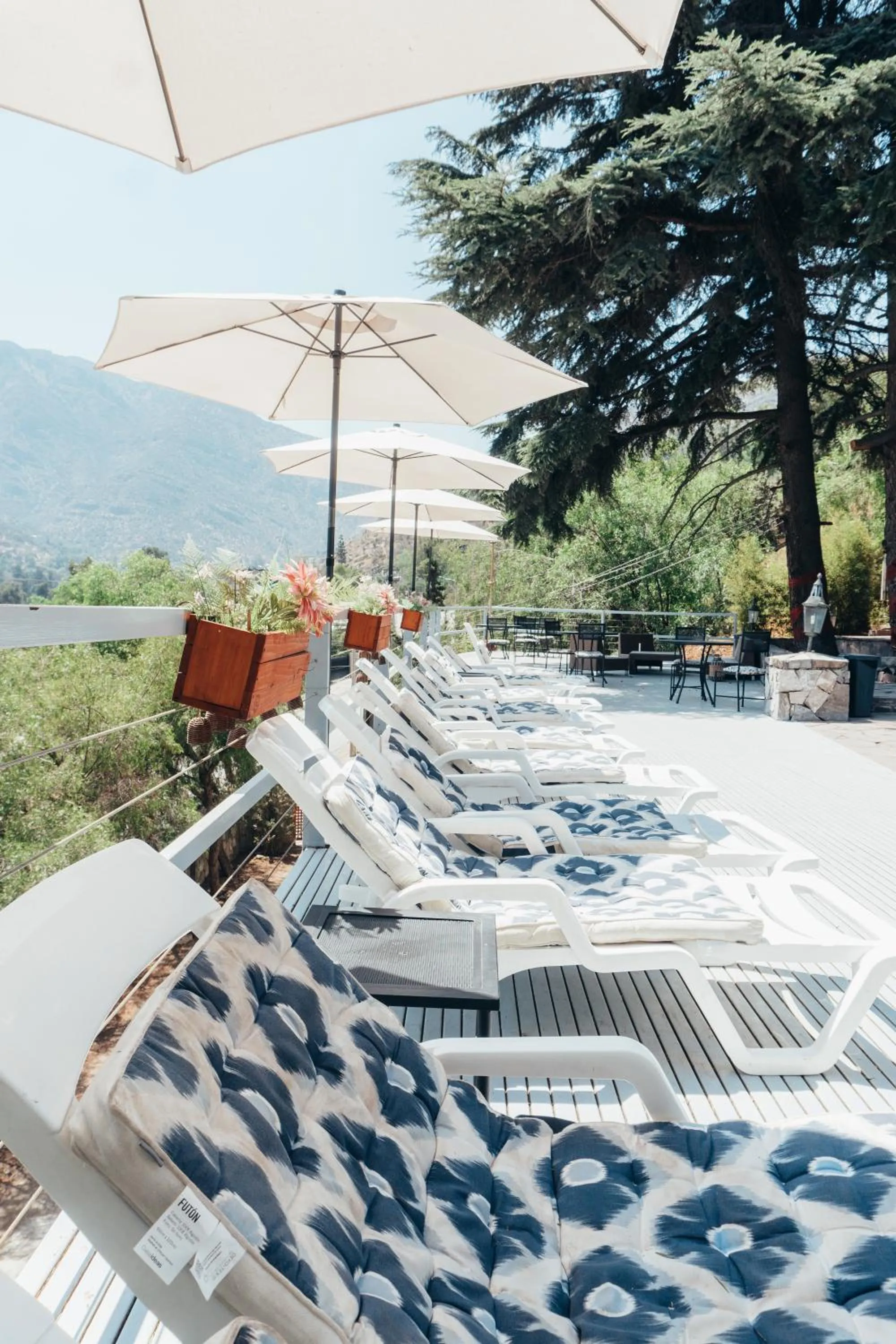 Natural landscape in Casa Arrayán