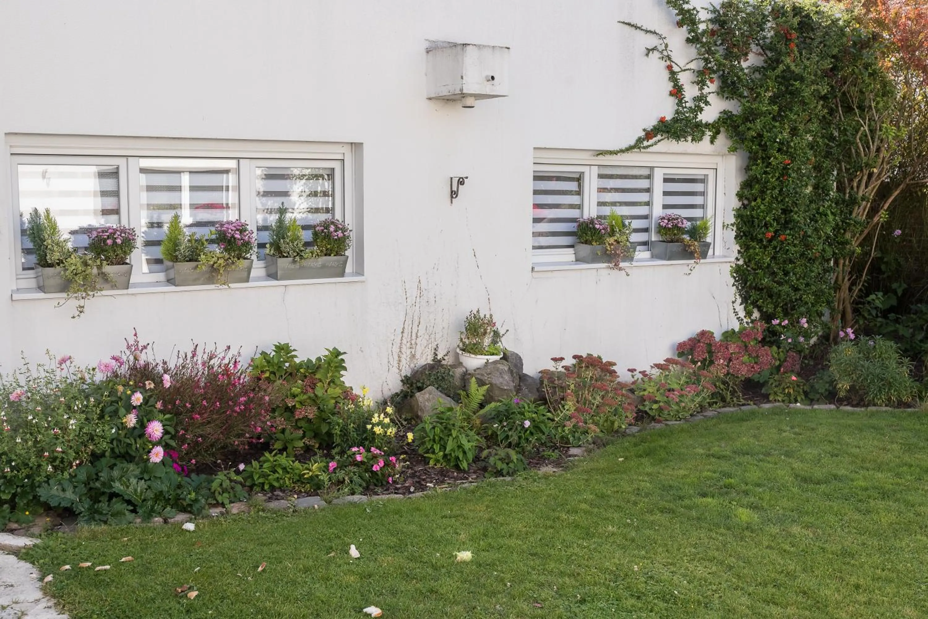 Garden view in Annette's Home