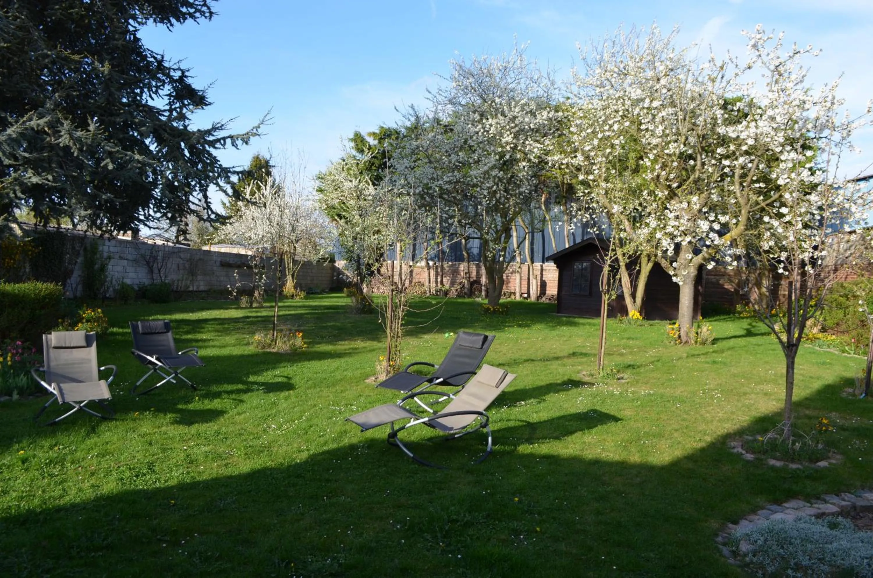 Garden in Annette's Home