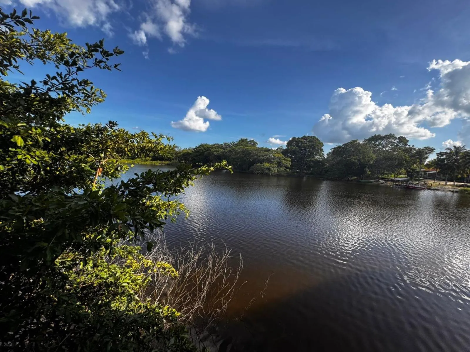 View (from property/room) in Lamanai Hotel & Marina