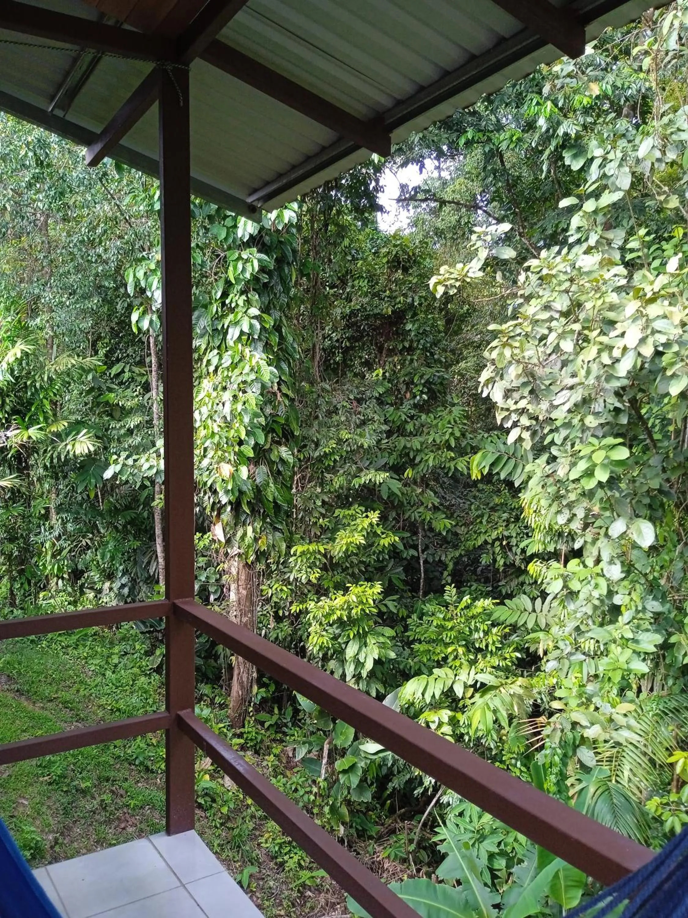 Chalet in Cabañas Bajo Bosque Drake
