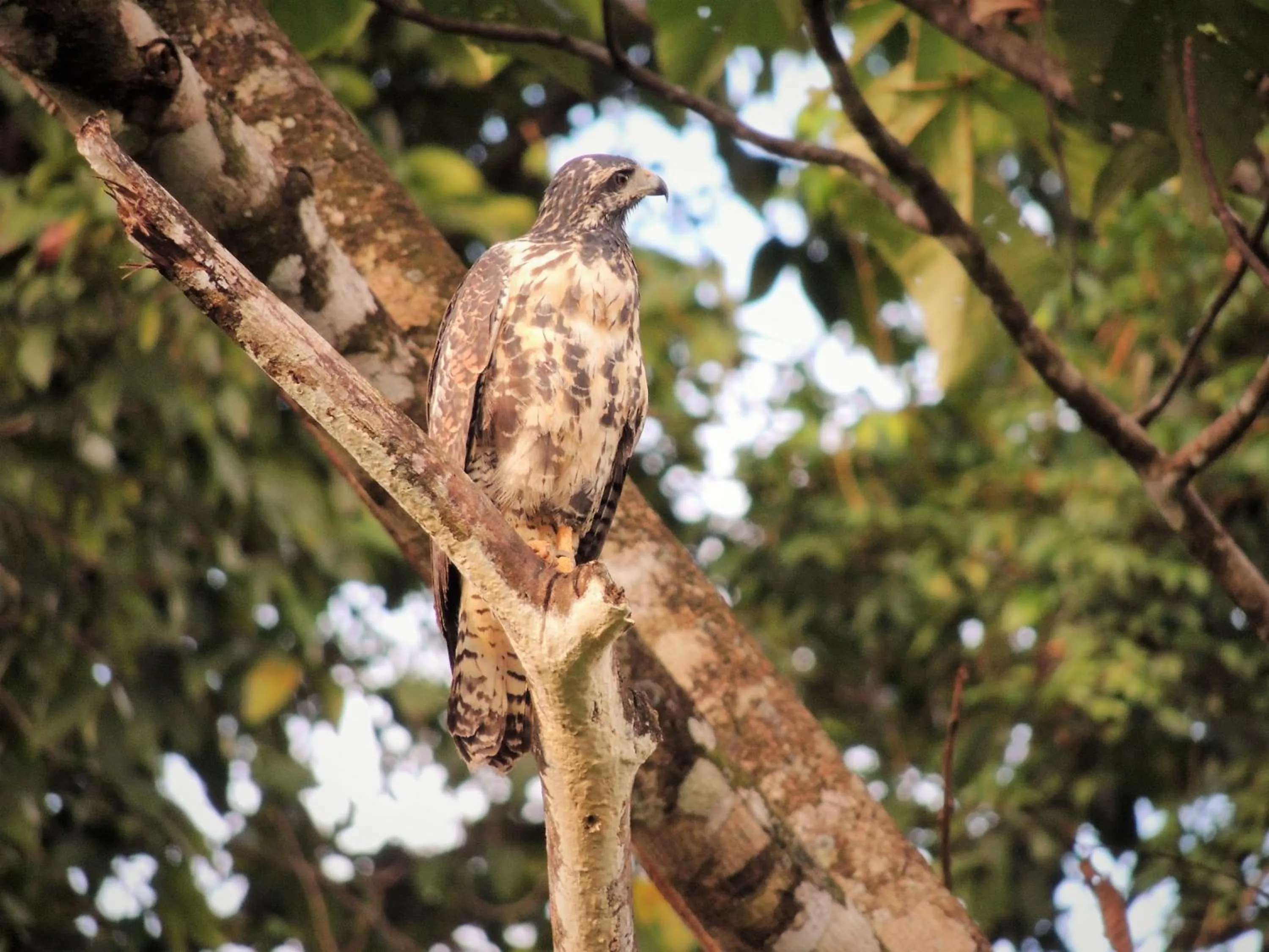 Nearby landmark in Cabañas Bajo Bosque Drake