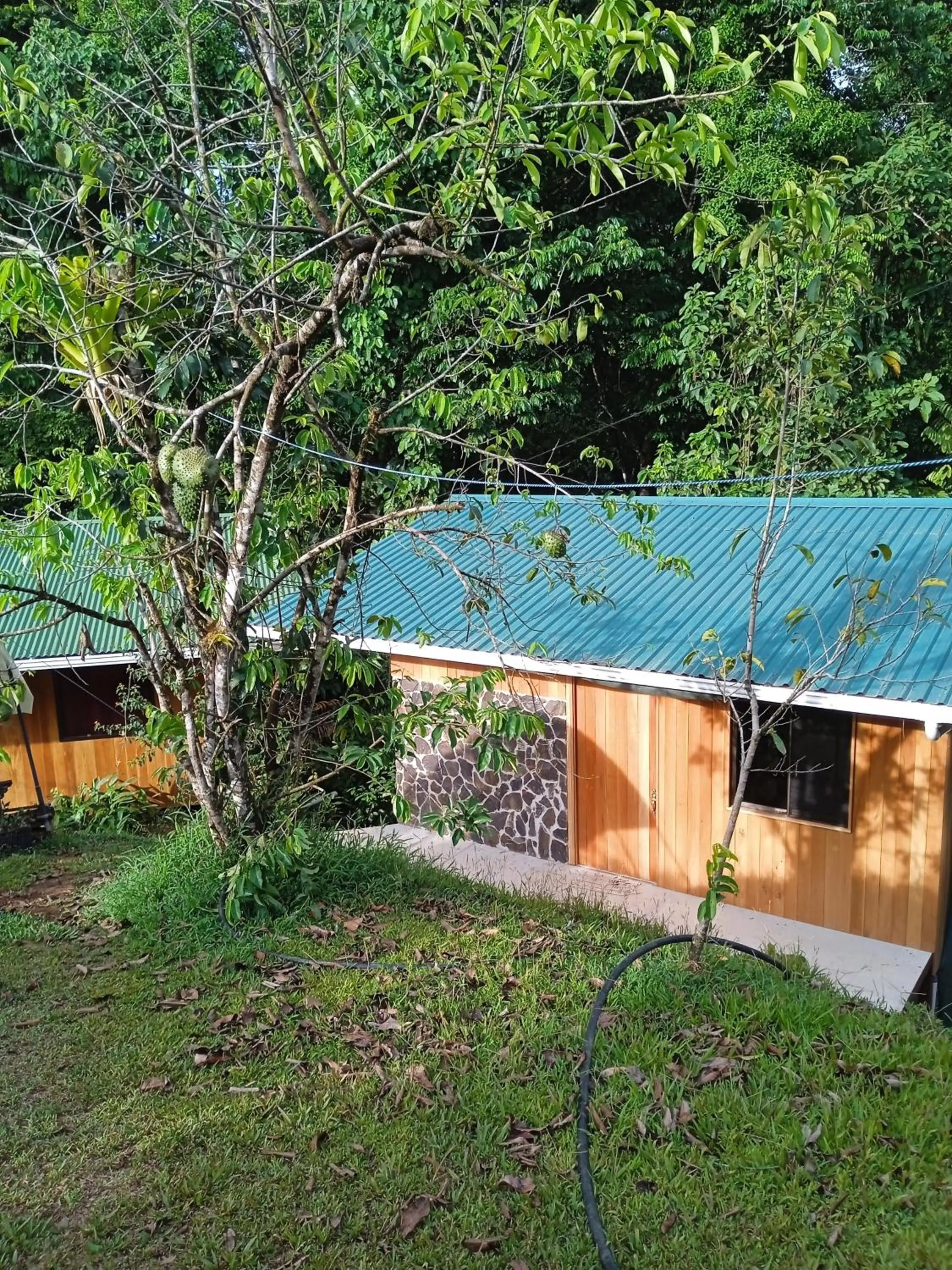 Property building in Cabañas Bajo Bosque Drake