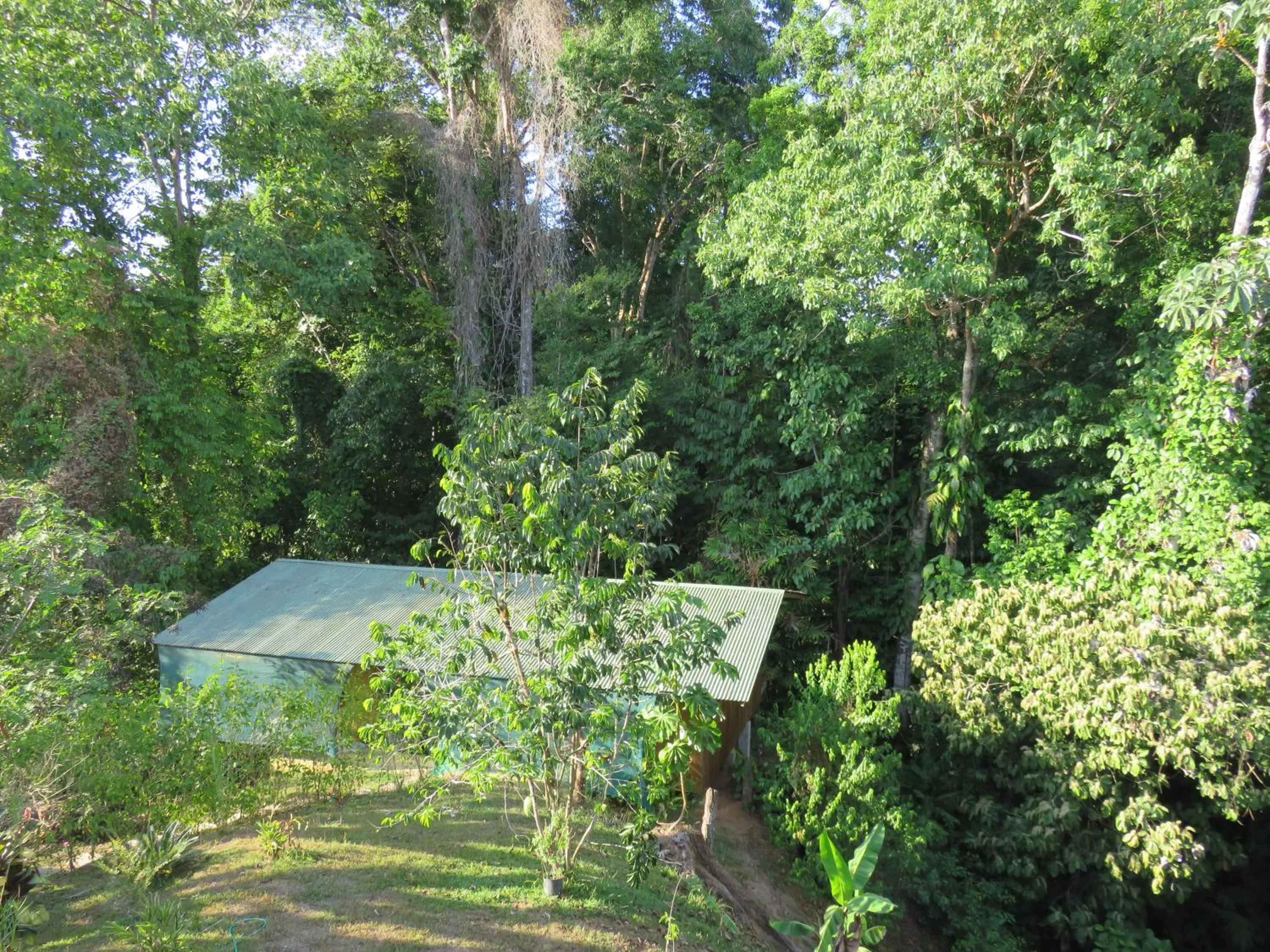 Natural landscape in Cabañas Bajo Bosque Drake