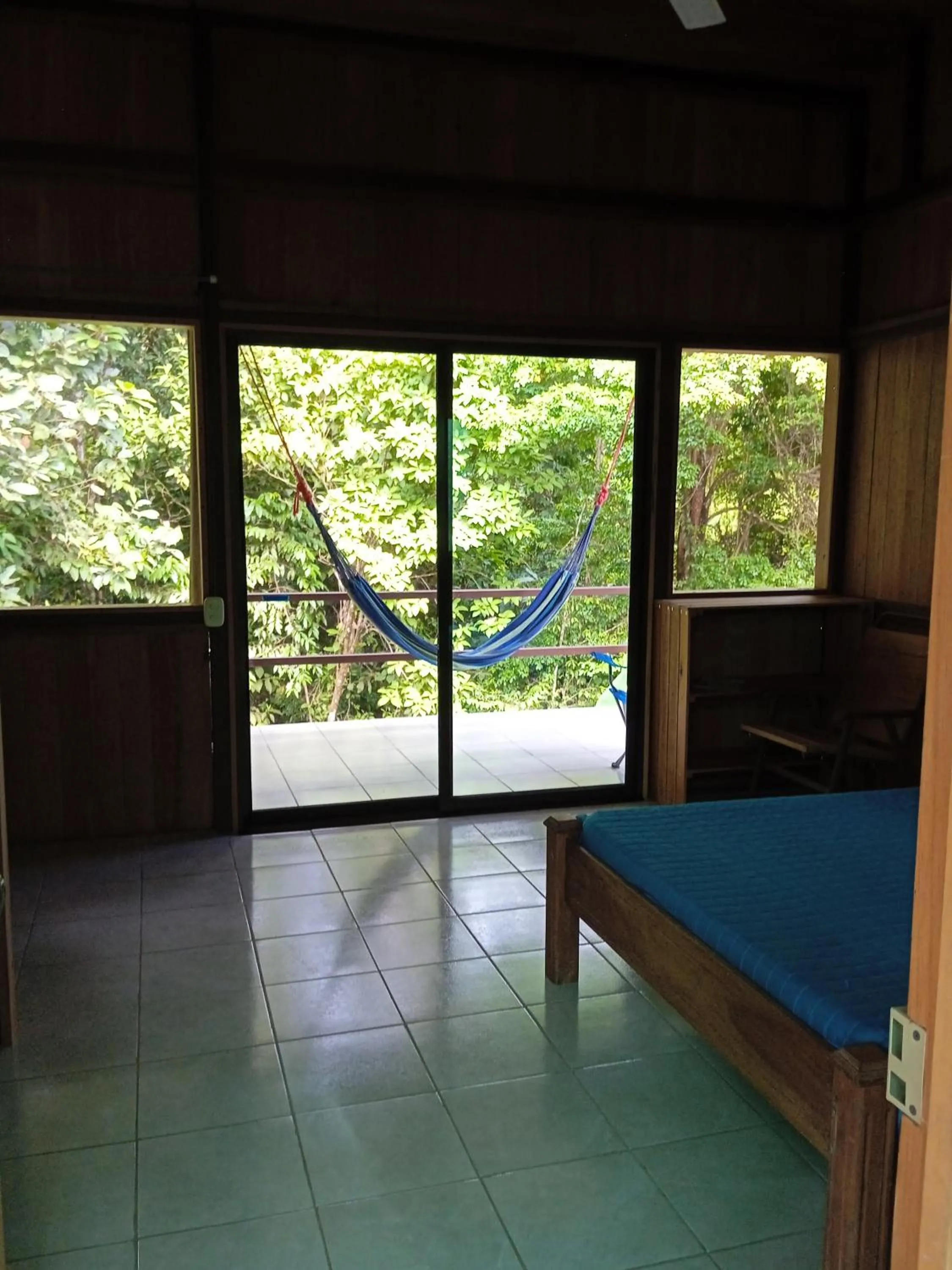 View (from property/room) in Cabañas Bajo Bosque Drake