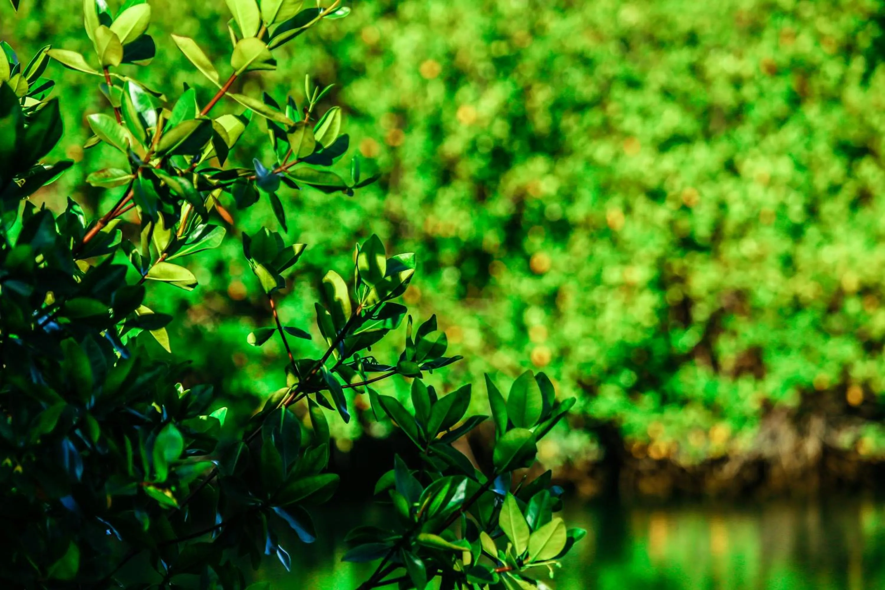 Nearby landmark in Hotel Cucuve