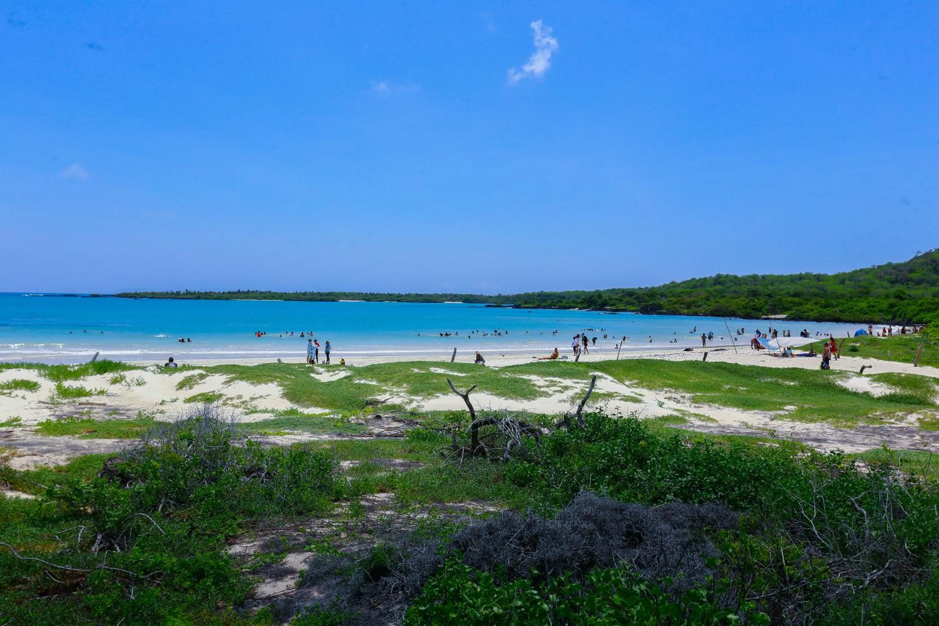 Natural landscape in Hotel Cucuve