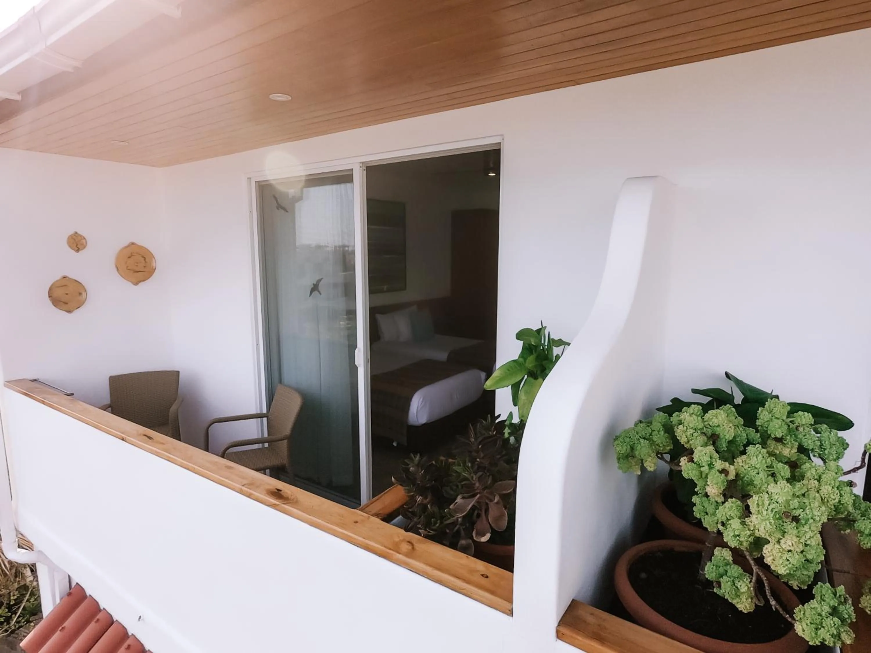 Balcony/Terrace in Hotel Cucuve