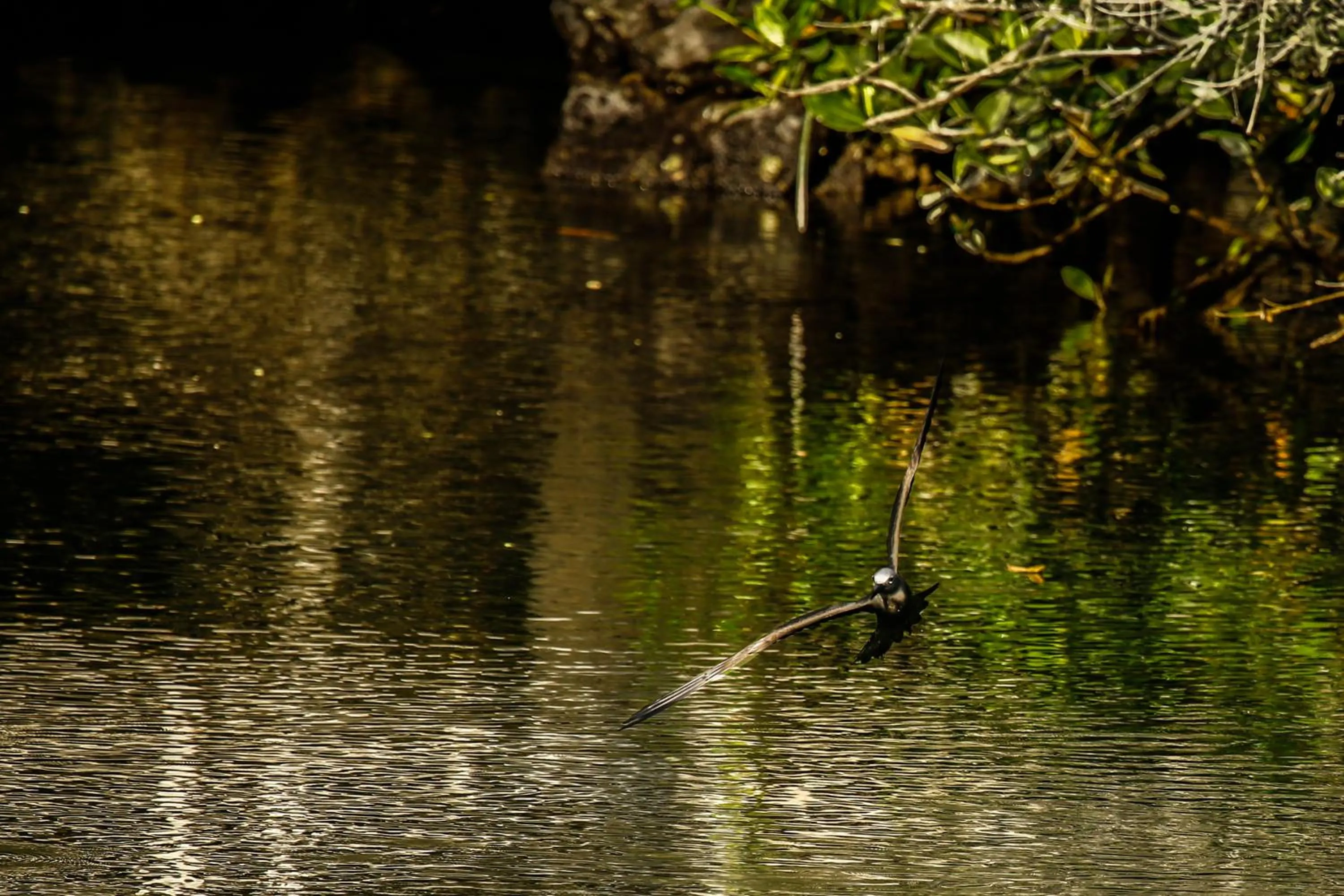 Nearby landmark in Hotel Cucuve