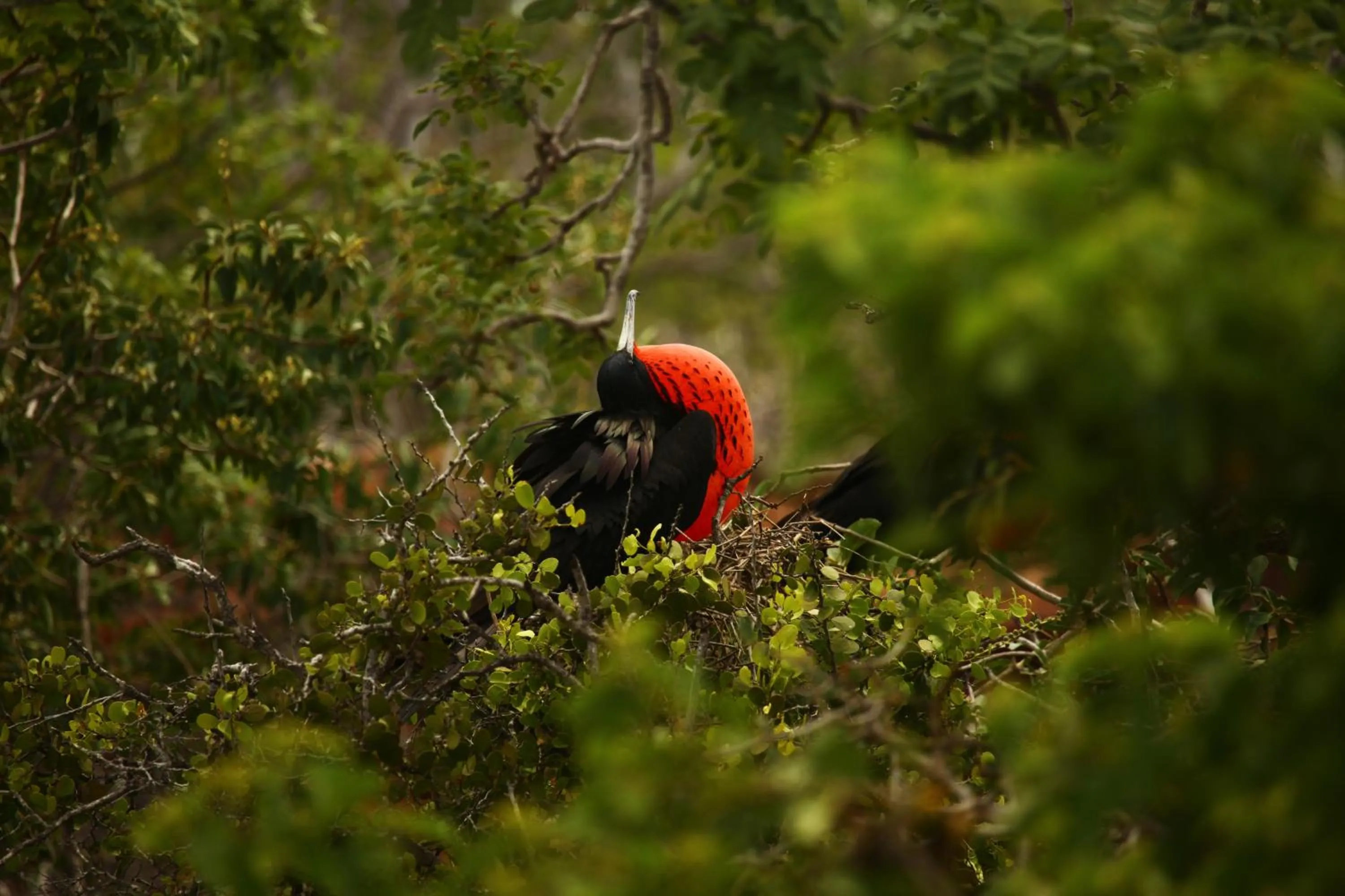 Natural landscape in Hotel Cucuve