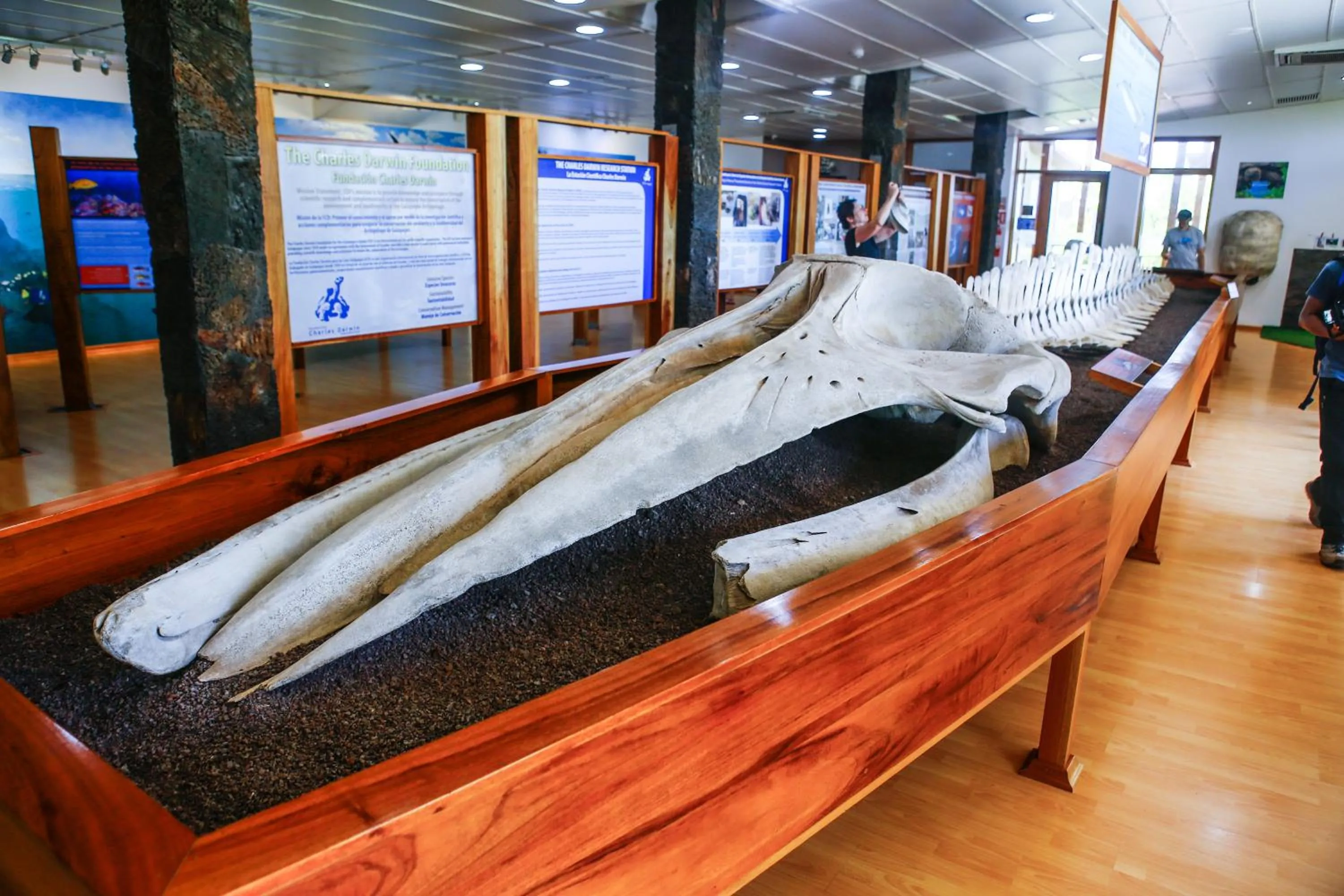 Nearby landmark in Hotel Cucuve