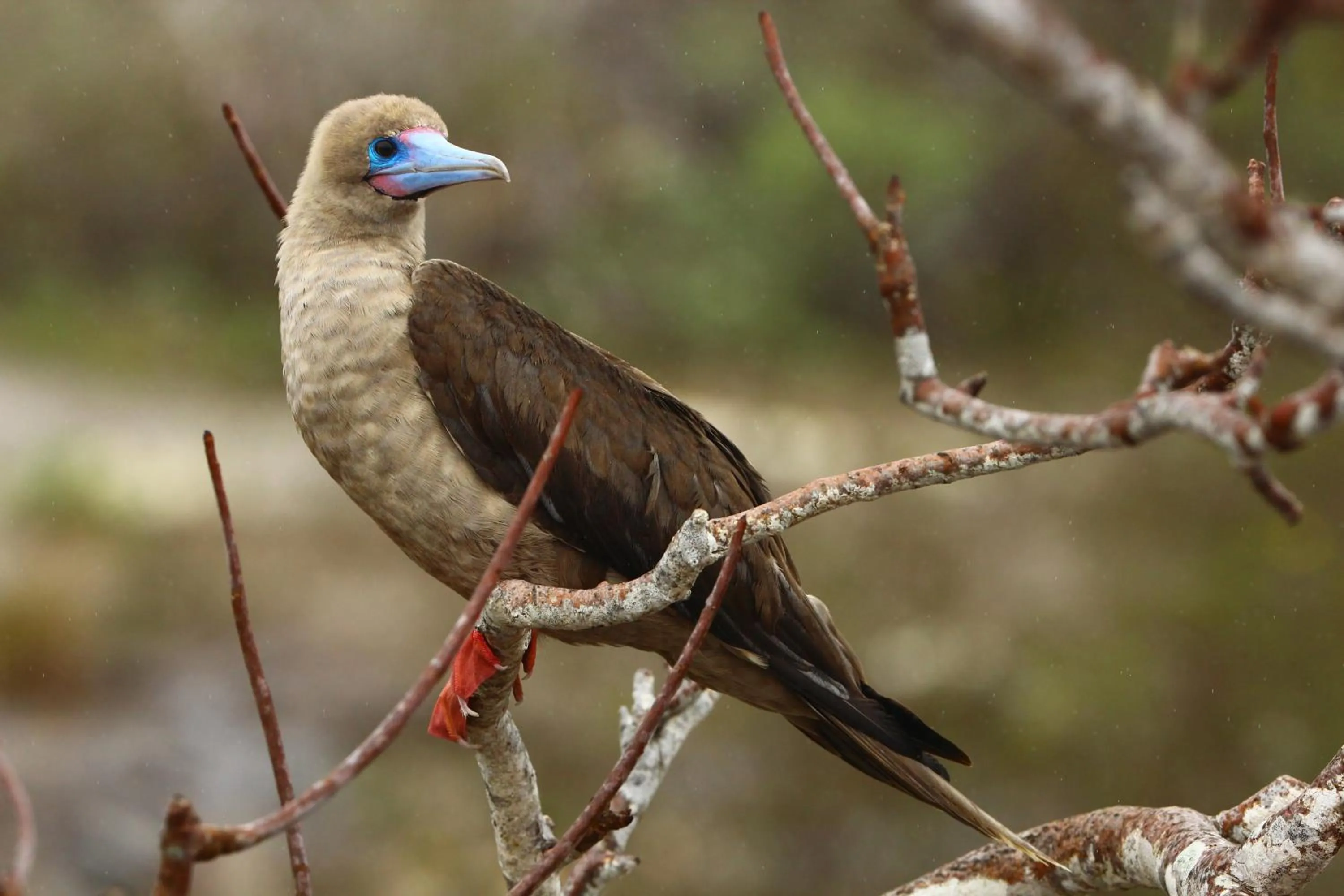 Nearby landmark in Hotel Cucuve