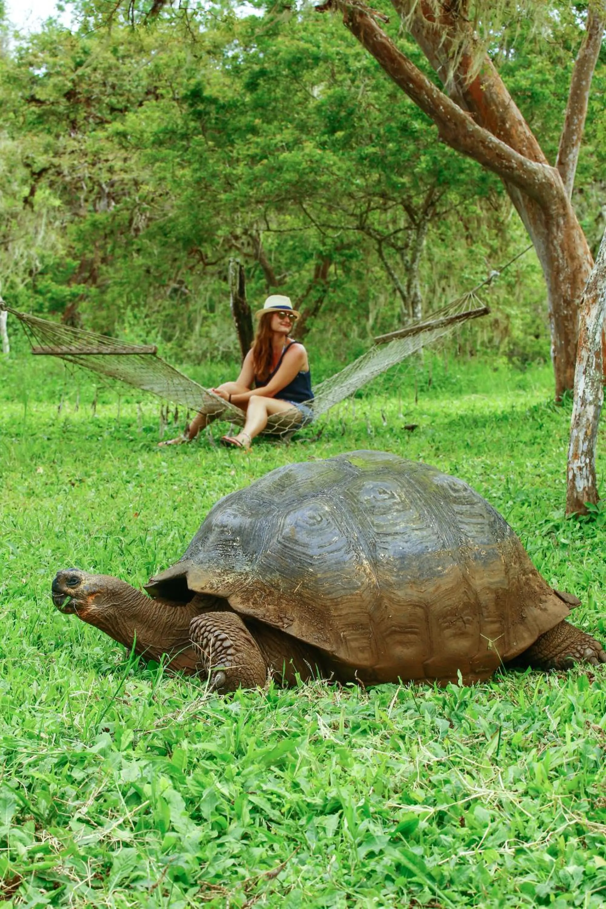 Nearby landmark in Hotel Cucuve