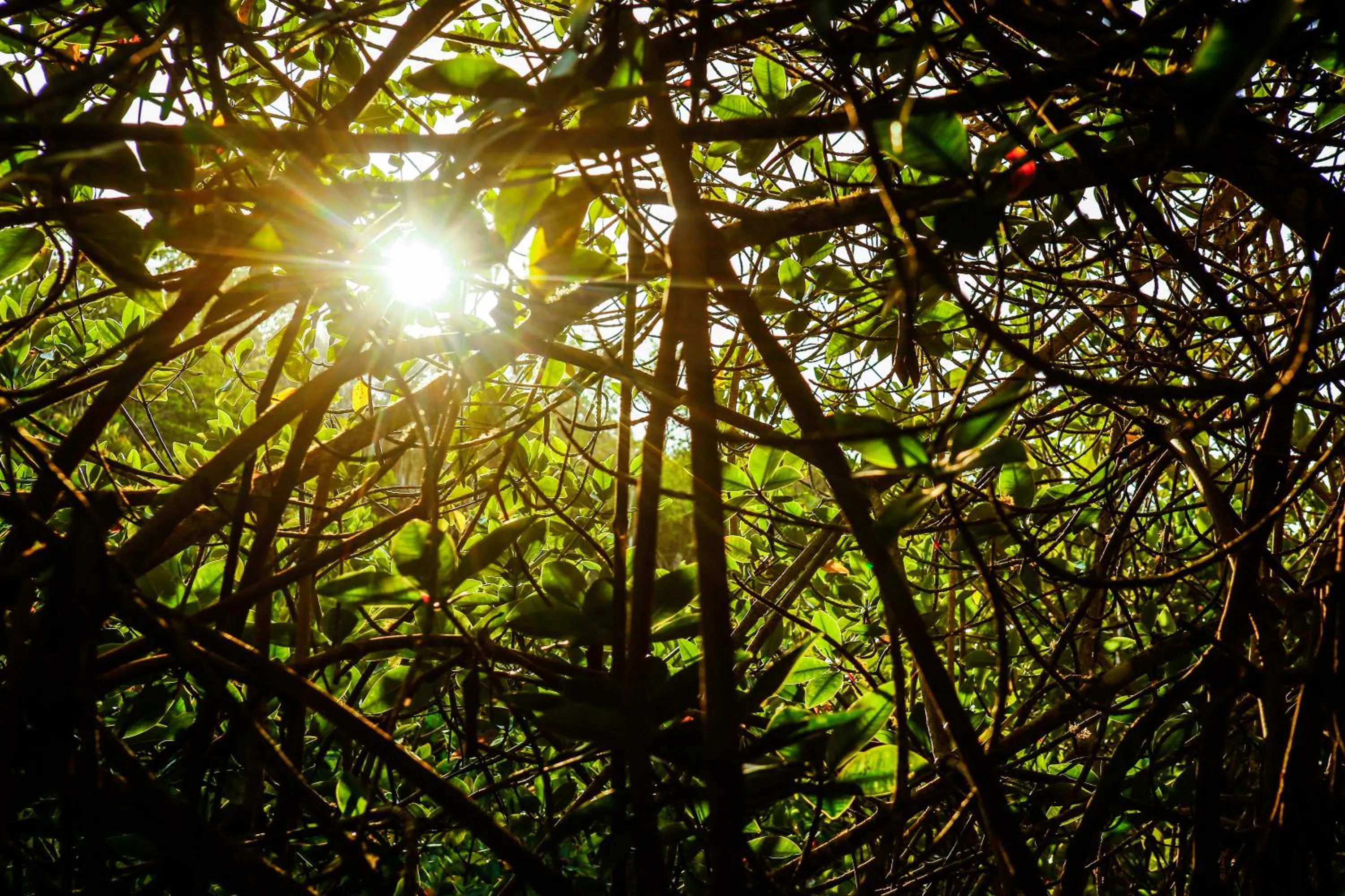 Nearby landmark in Hotel Cucuve