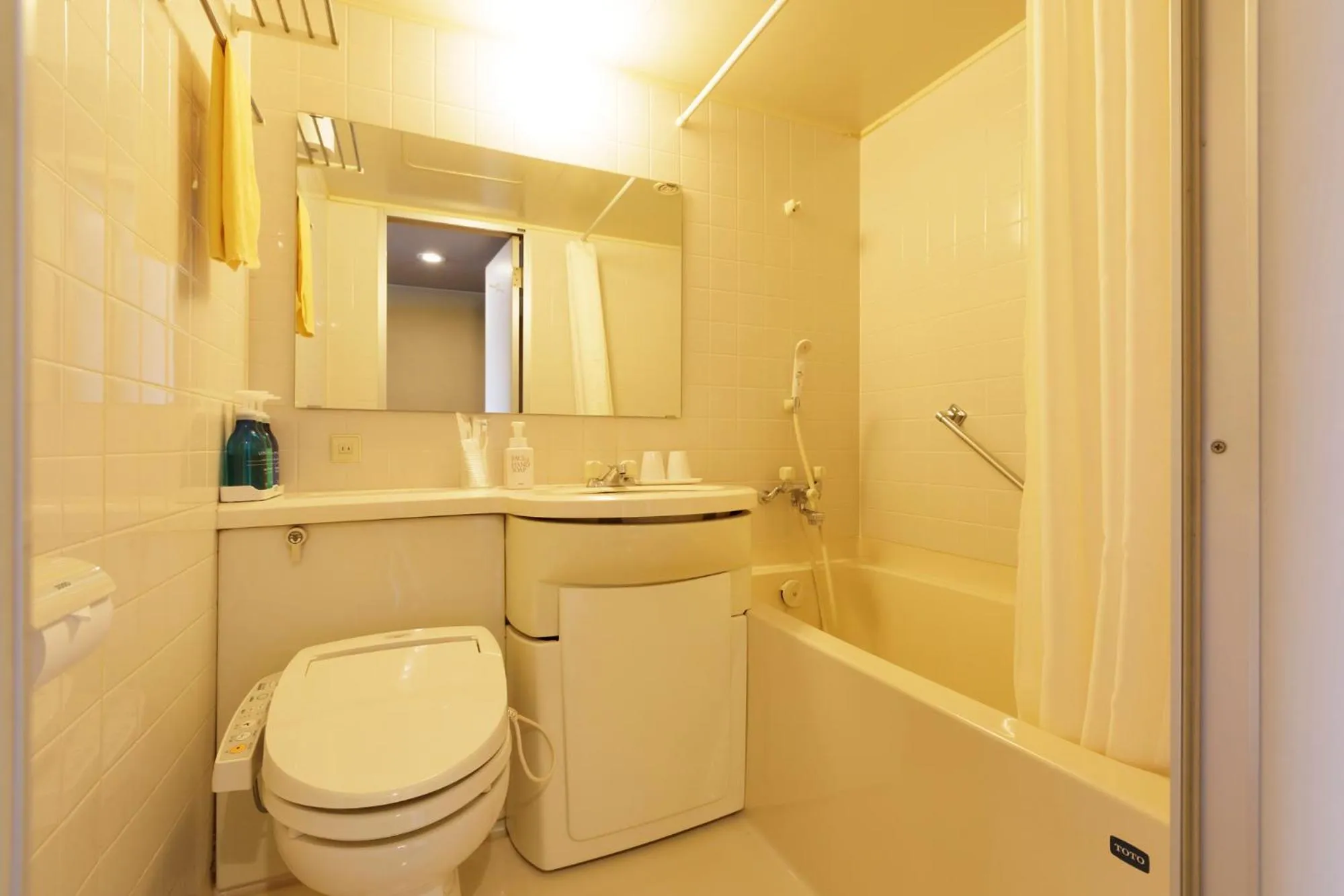 Bathroom in Aishinkan