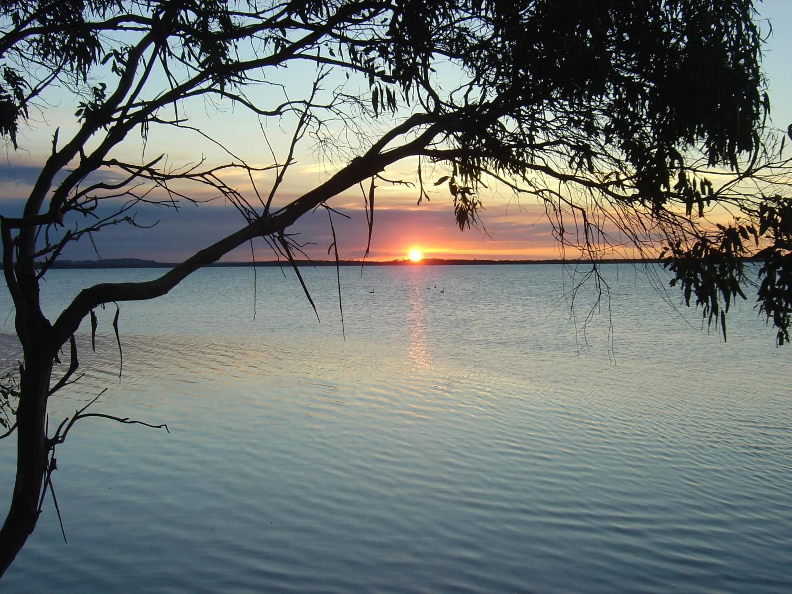 Beach in Stanley Lakeside Spa Cabins