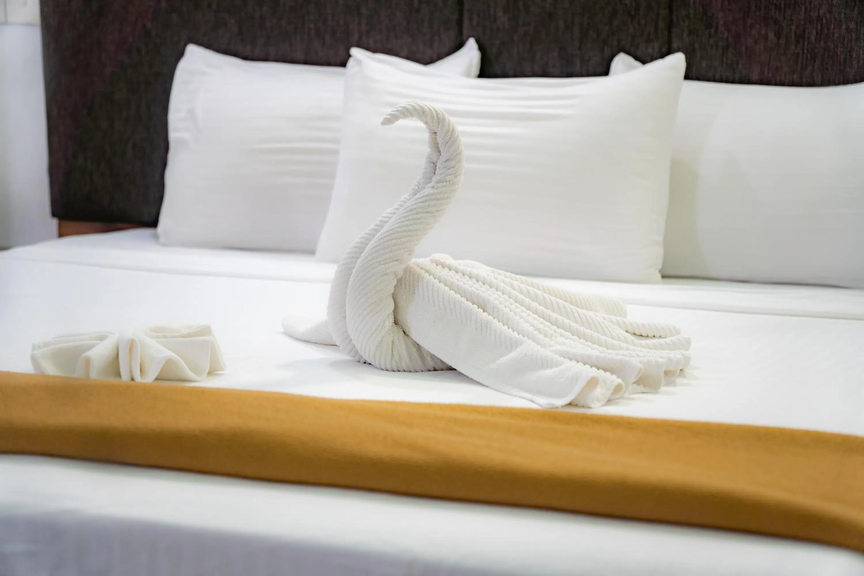 Bed in The Park House